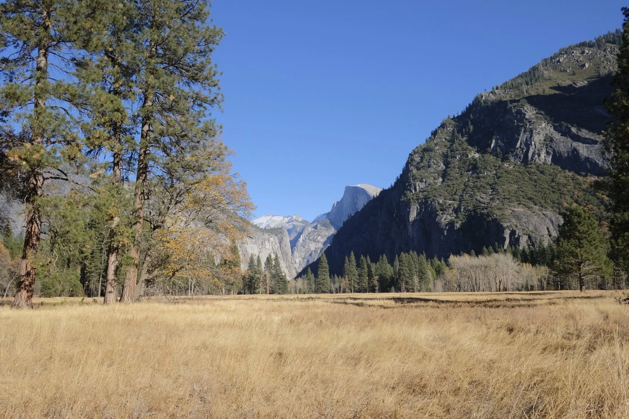yosemite2.jpeg
