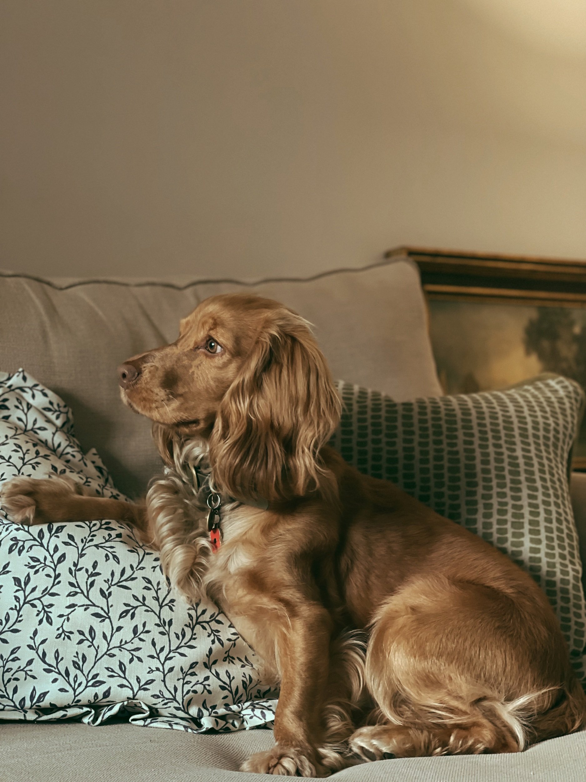  Homes are for living in, and they also need to have items that spark joy, add warmth &amp; comfort as well as being practical. 