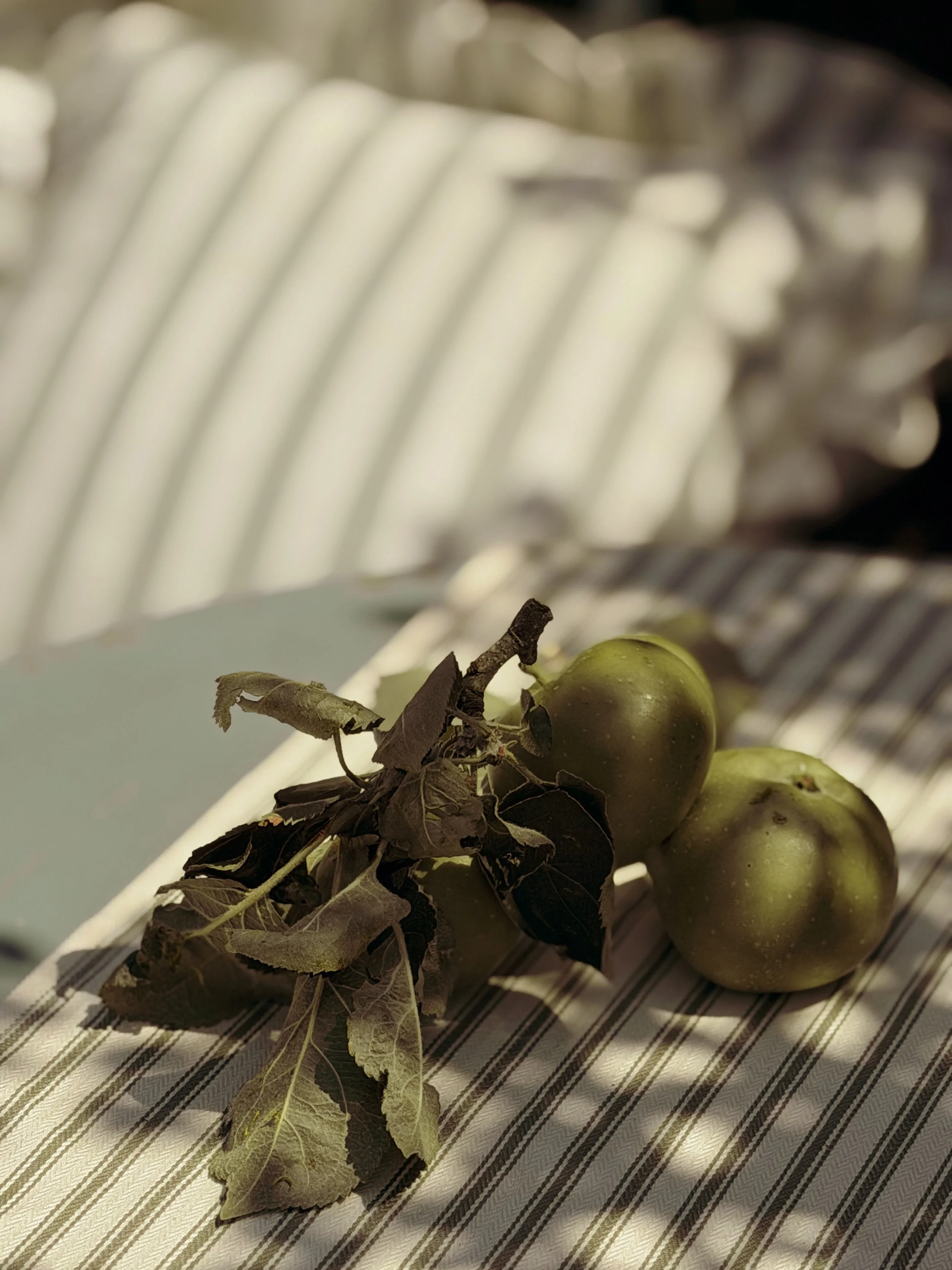 Summer isn&rsquo;t over yet ; enjoy the last sun soaked days outside with our beautiful collection of table linens that work all year round. 

Shop the link in bio ✨🍃