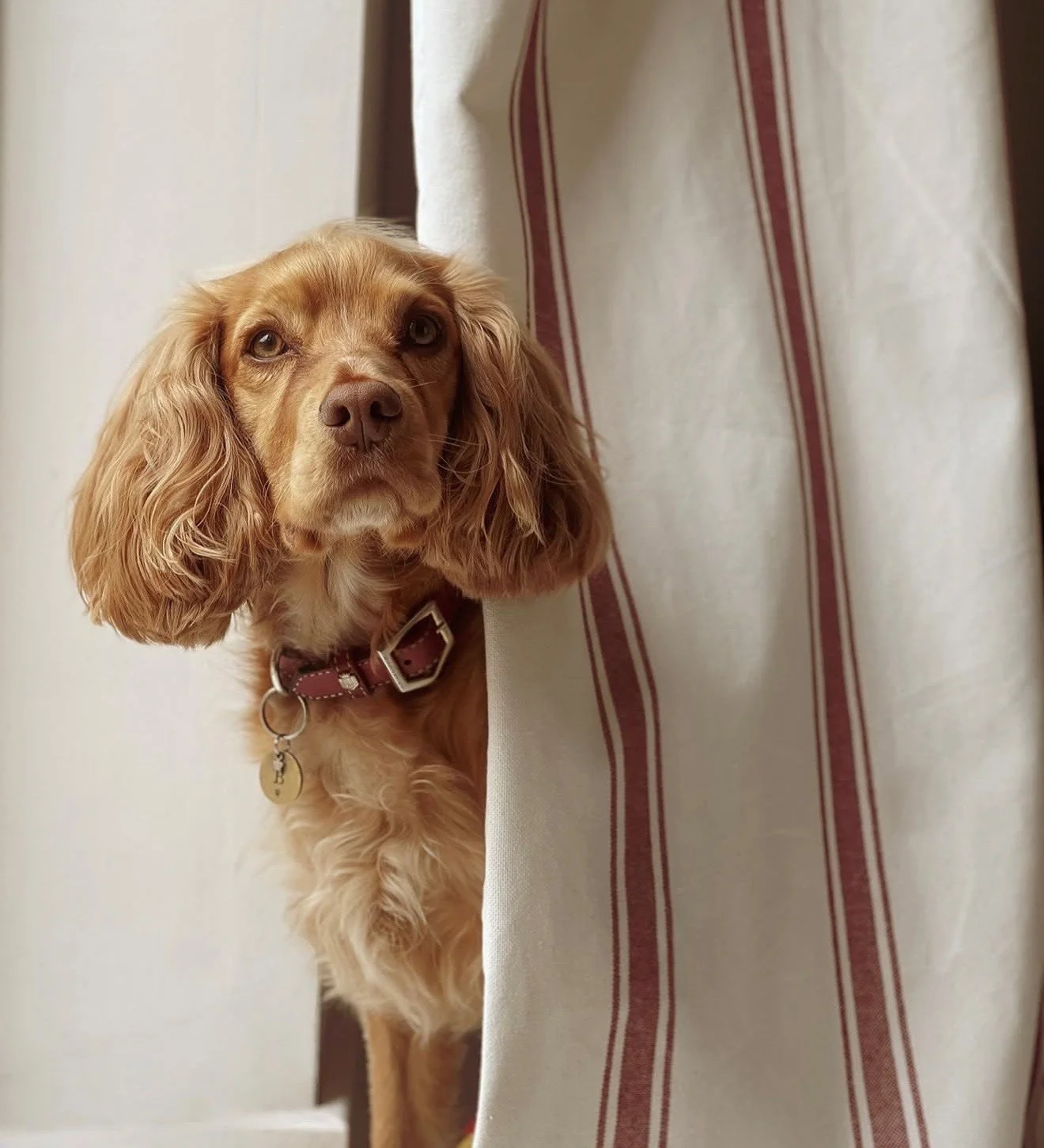 Made to order curtain 