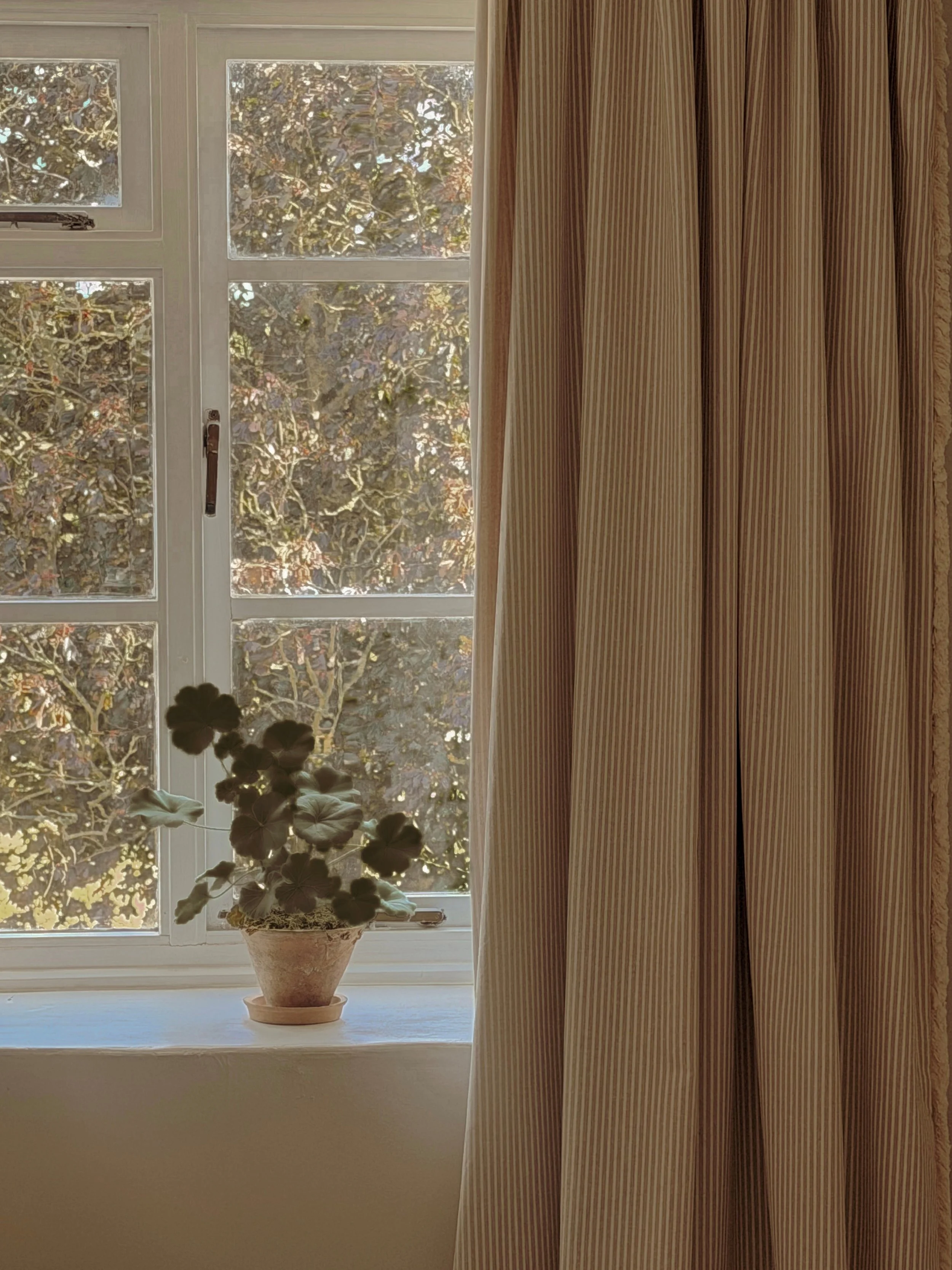 Made to order curtains 