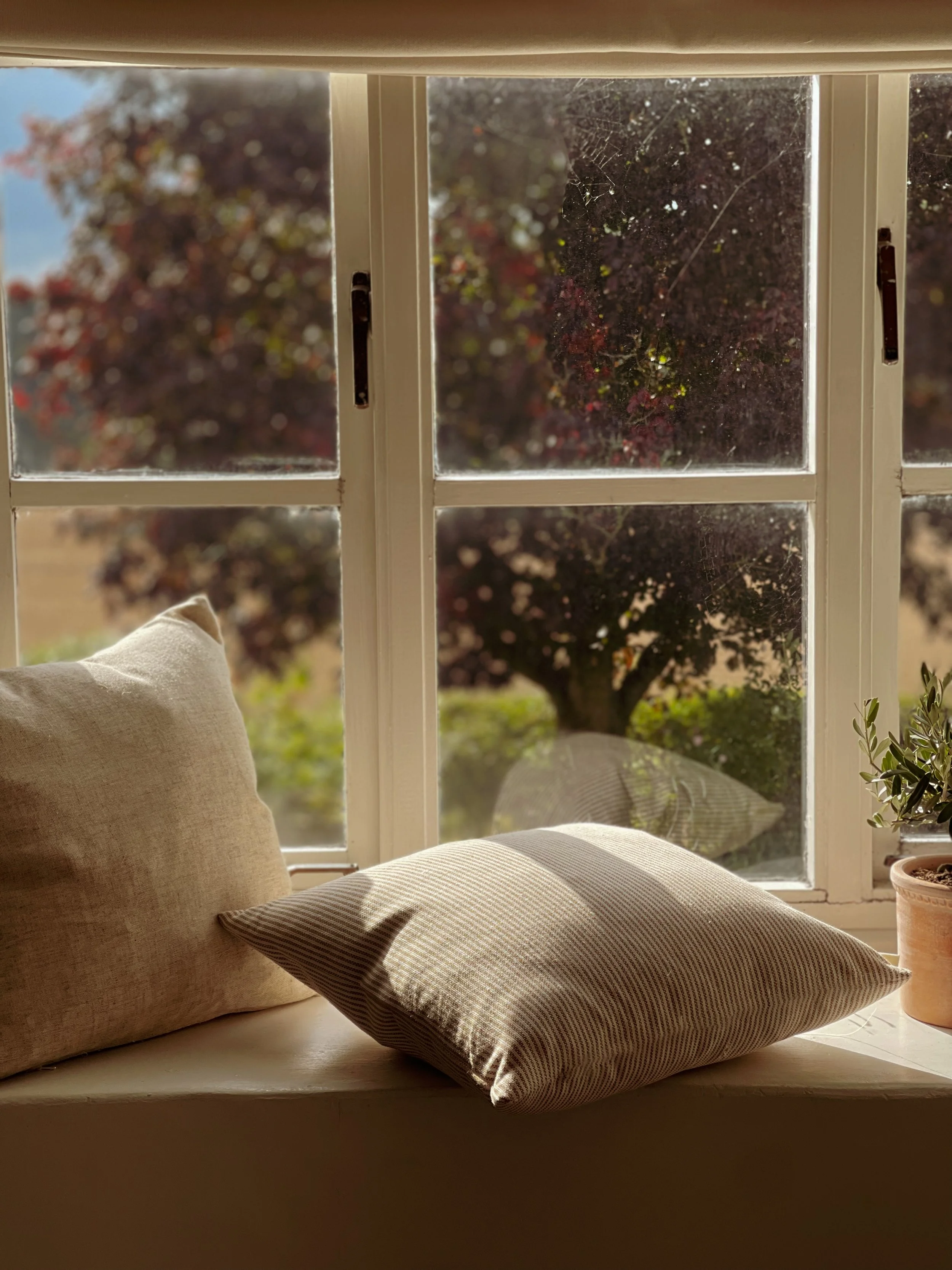 Autumn Stripe Cushion