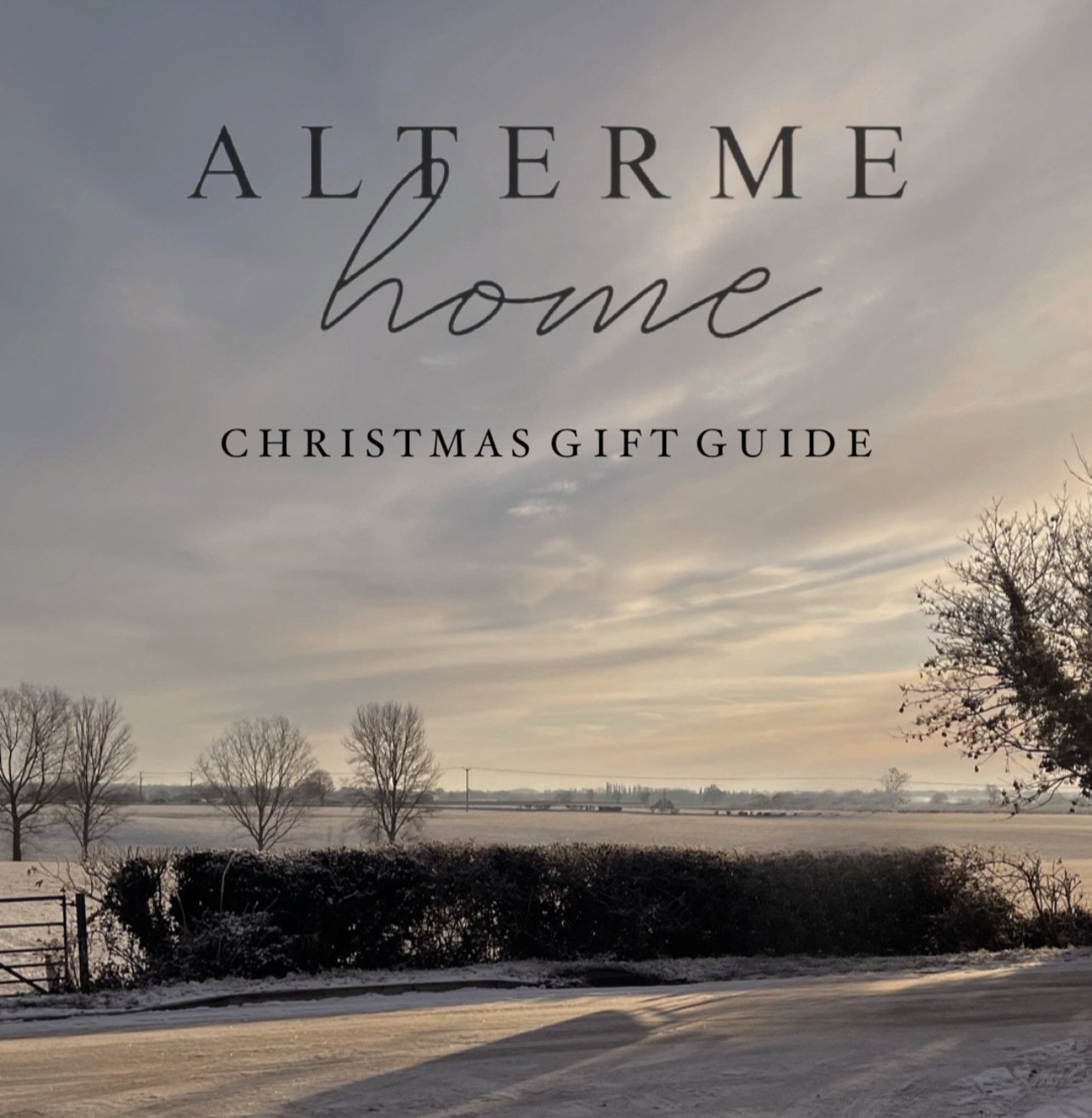 THE ALTERME HOME CHRISTMAS GIFT GUIDE