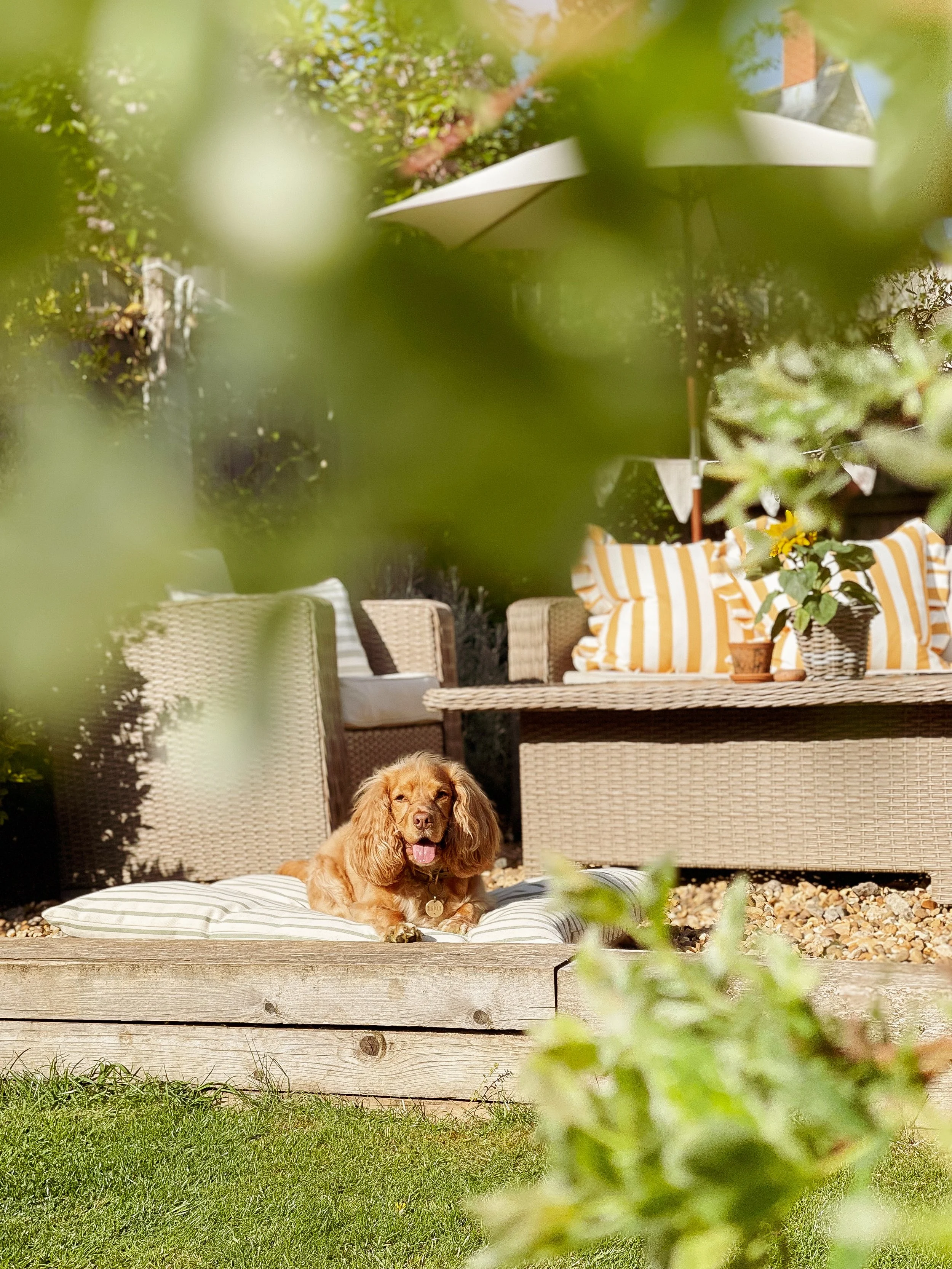 Barkford Barn Outdoor Olive Striped Dog Bed