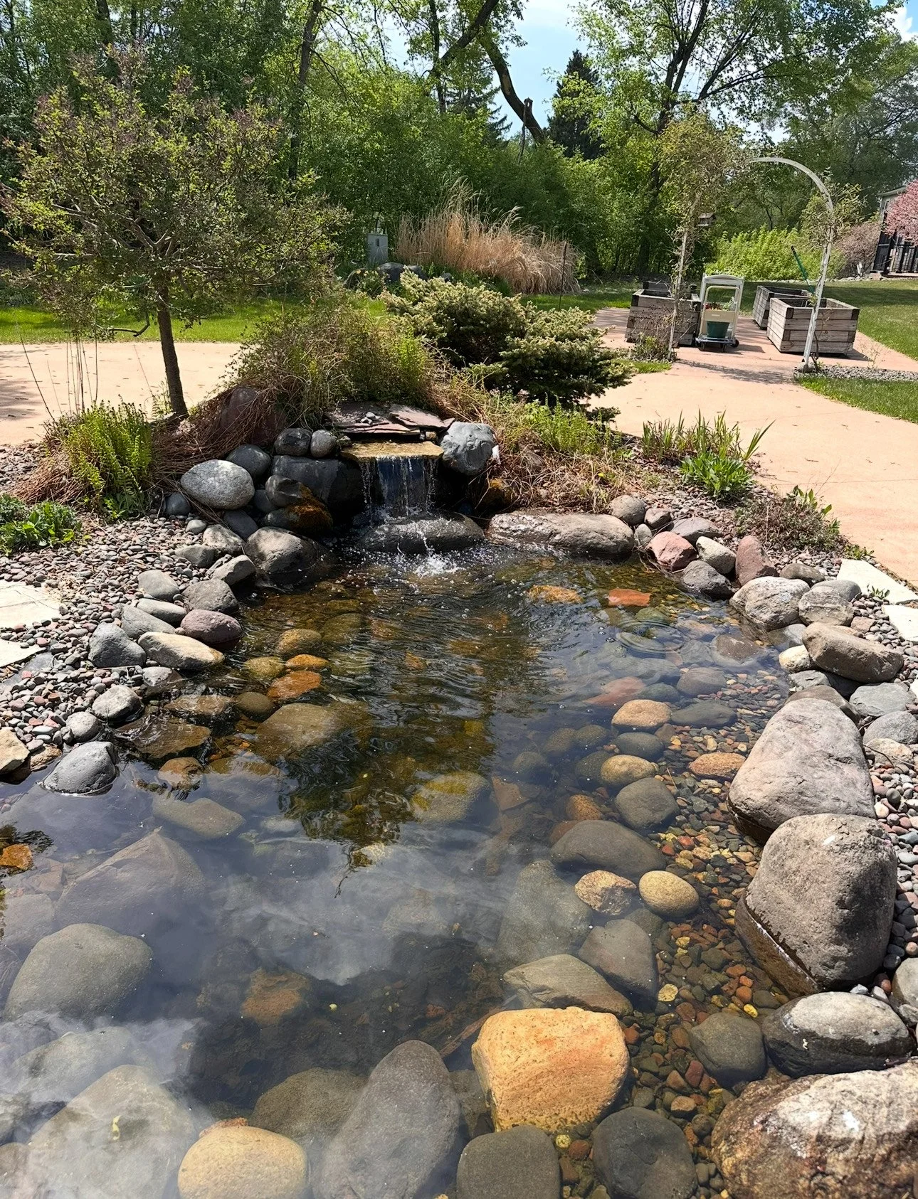Pond.jpeg