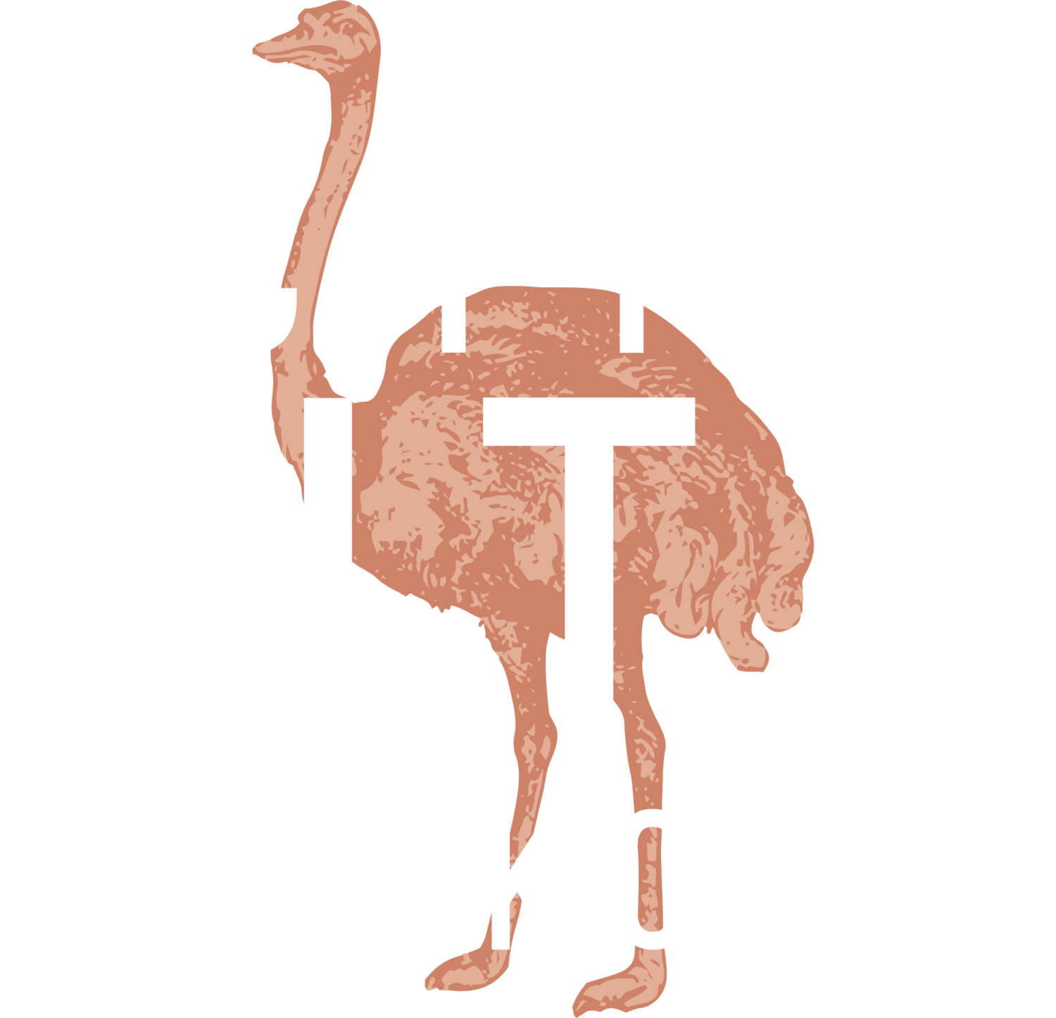 Action City