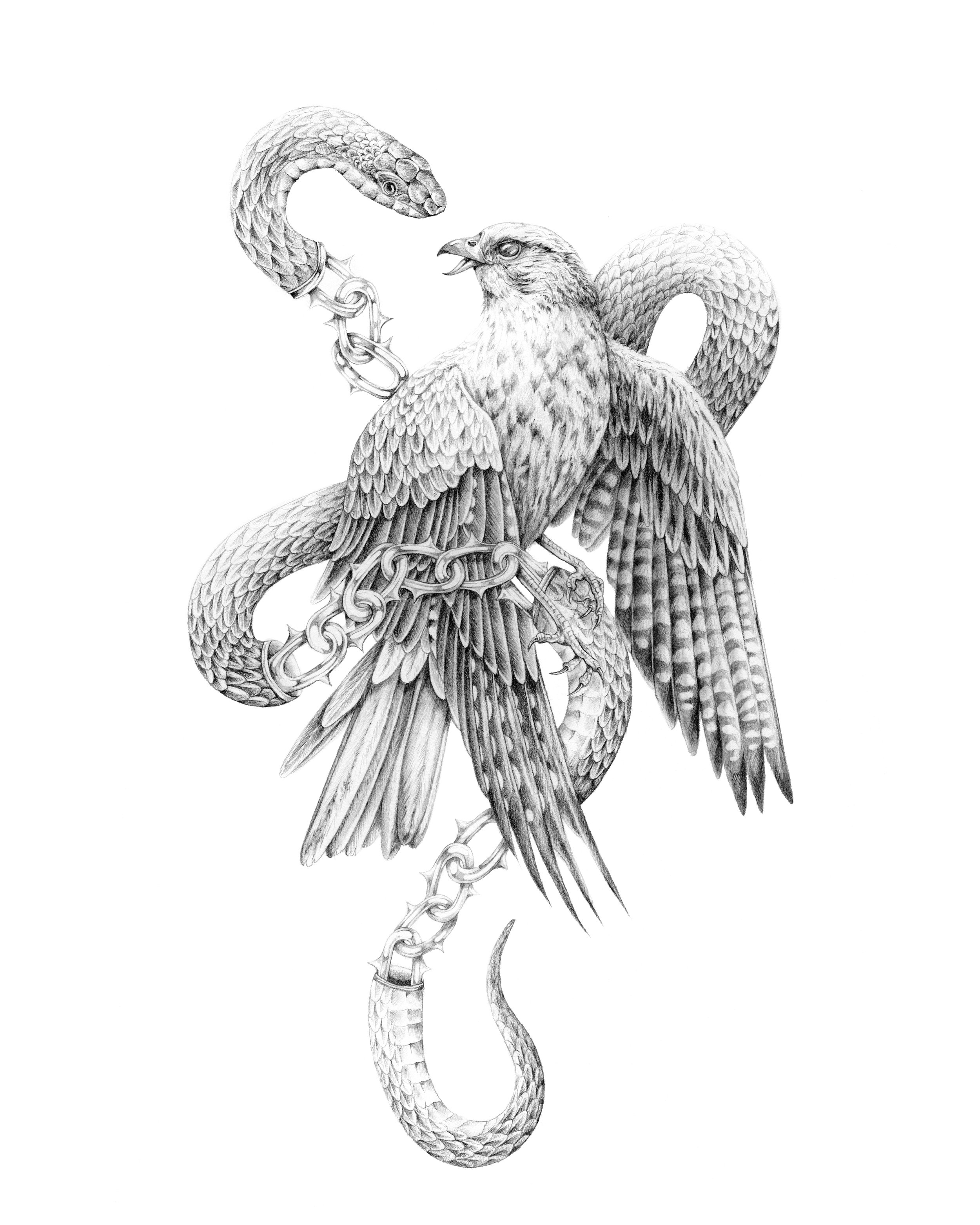 hawksnake-iphone.jpg
