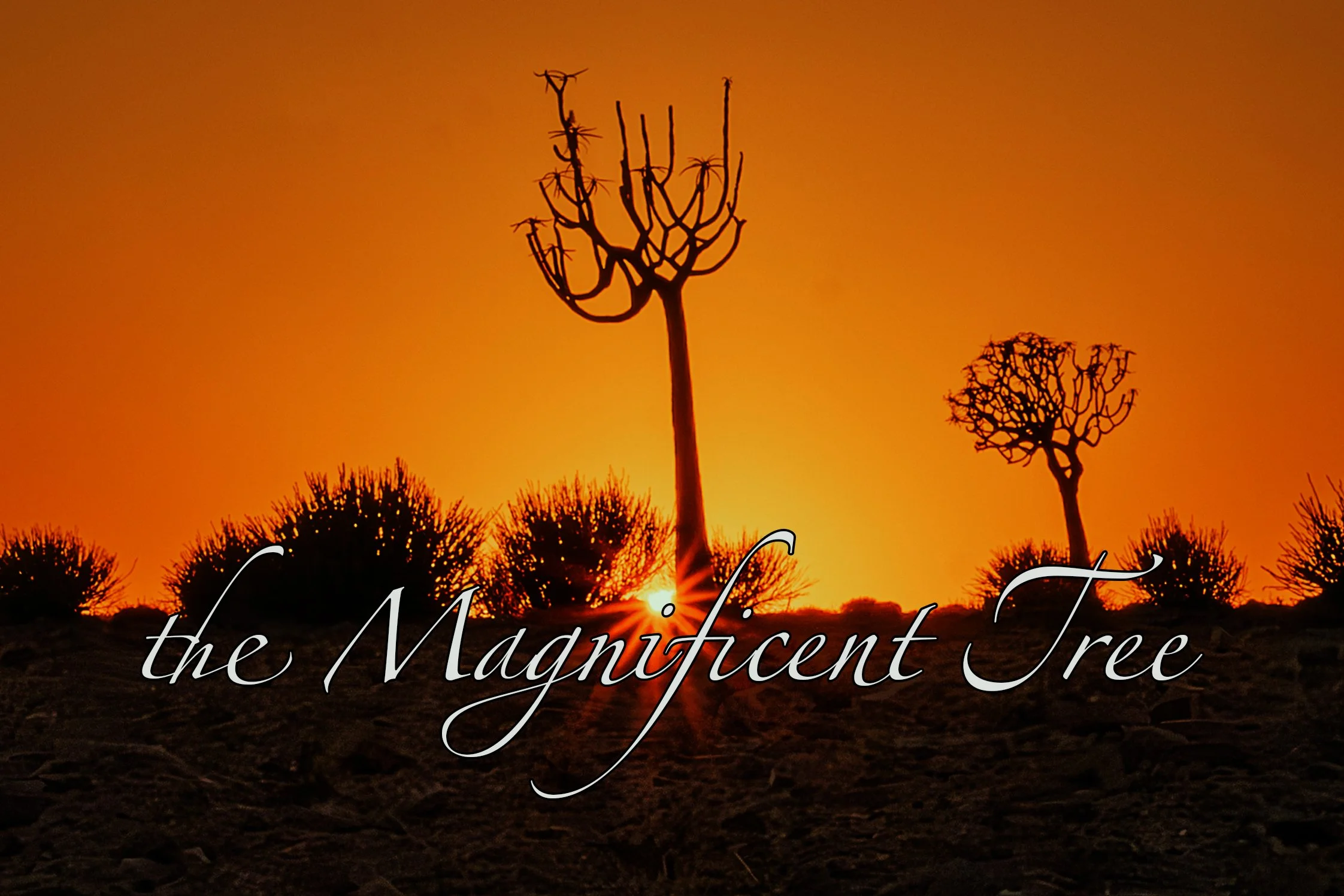 The magnificent Tree