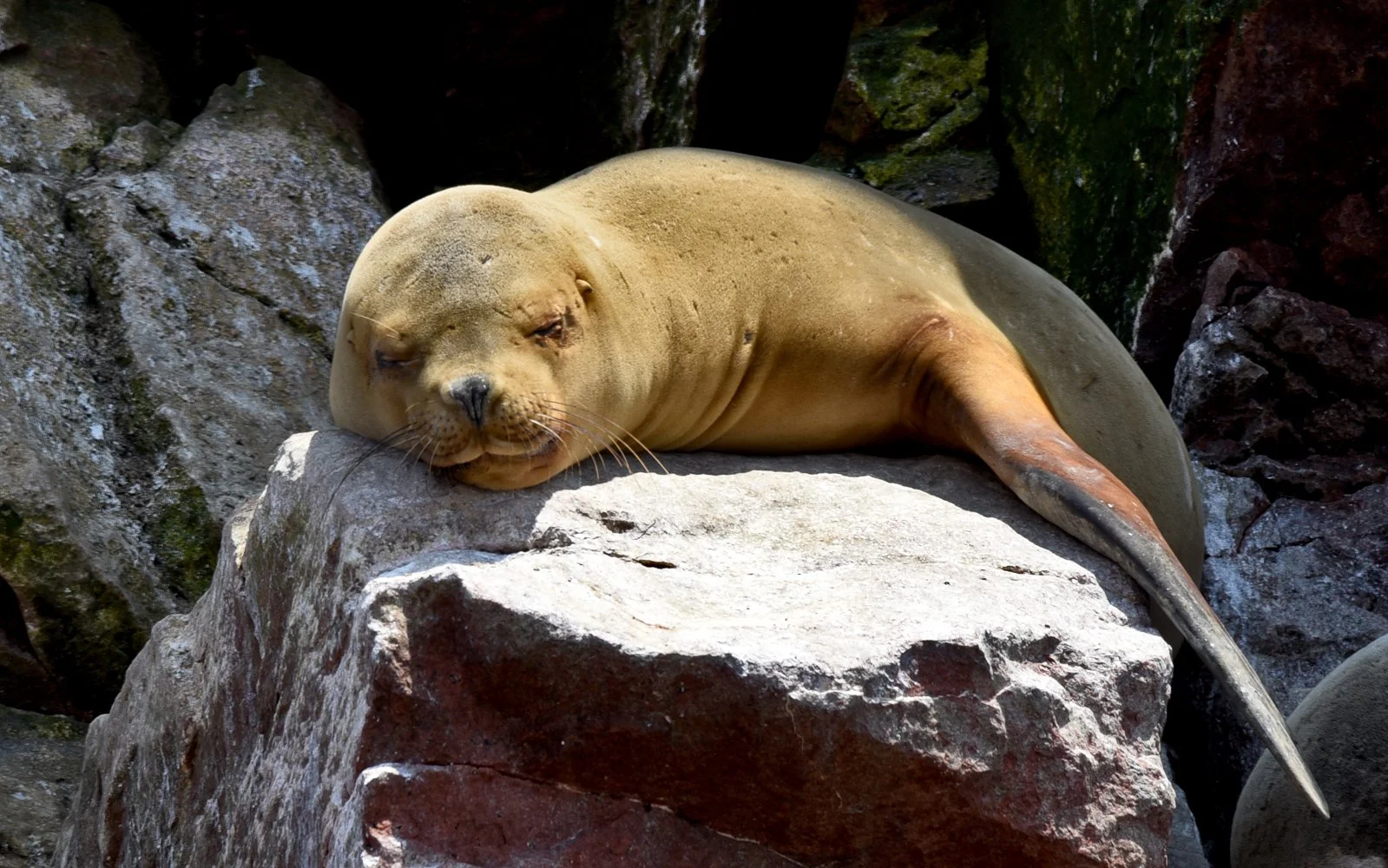 e-Bryan Grinham 01.jpg