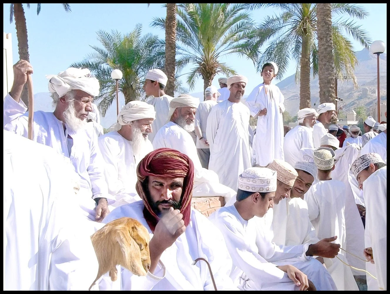 Vivien Dacie-Ward3.jpg