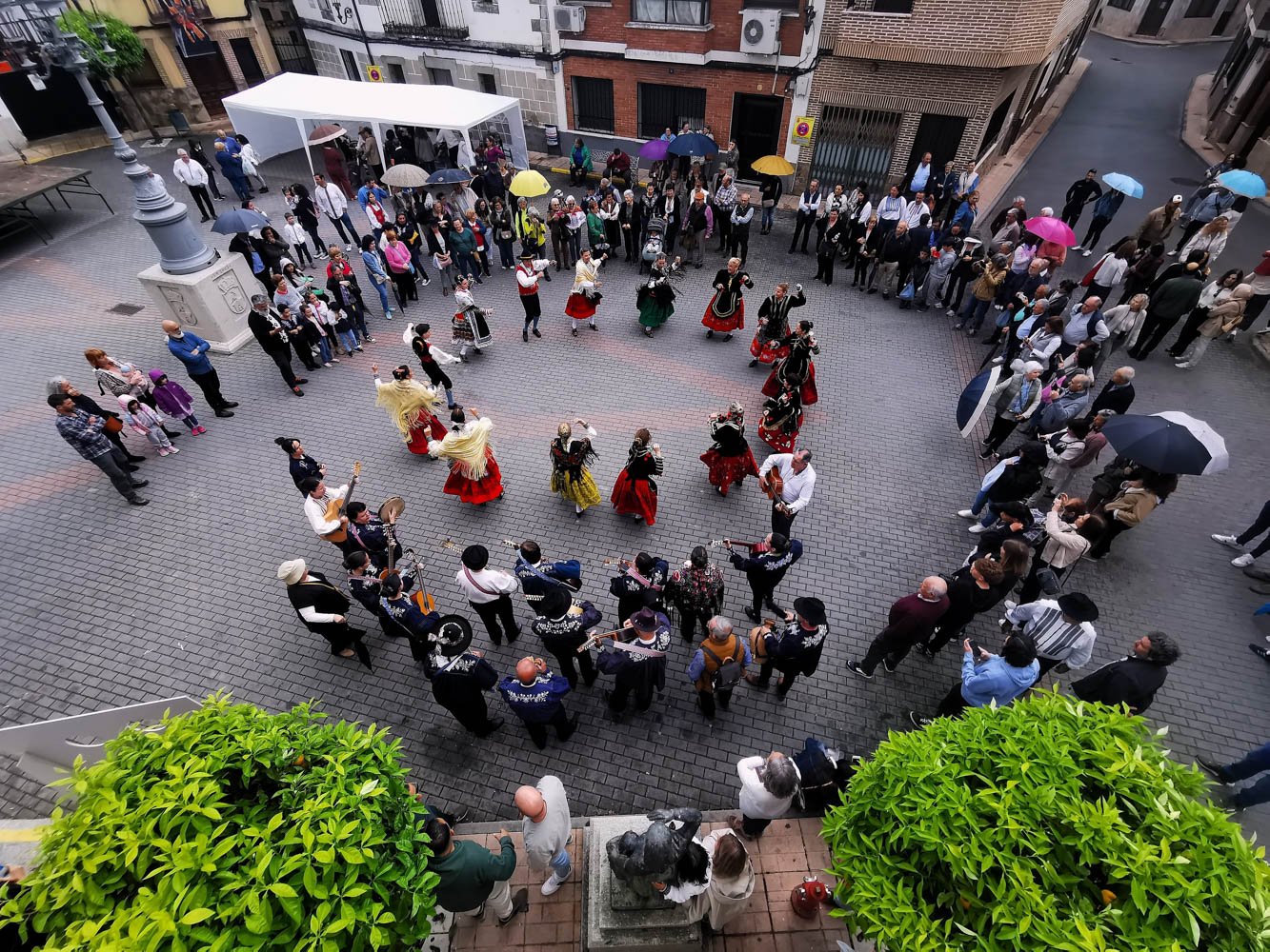 Austricliniano Circulos 2.jpg