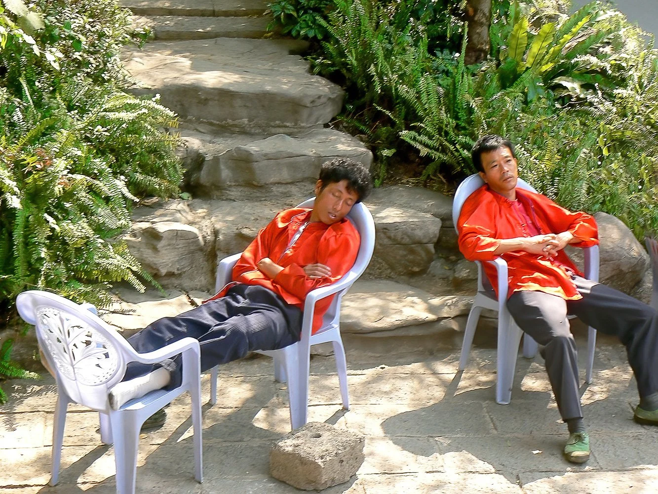 e-Vivien Dacie-Ward 04.jpg