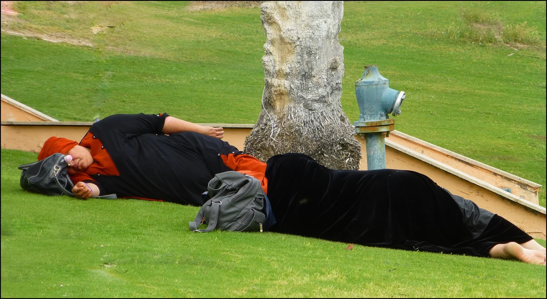 e-Vivien Dacie-Ward 01.jpg