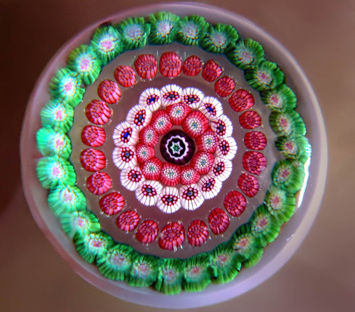 Vivien Dacie-Ward03.jpg