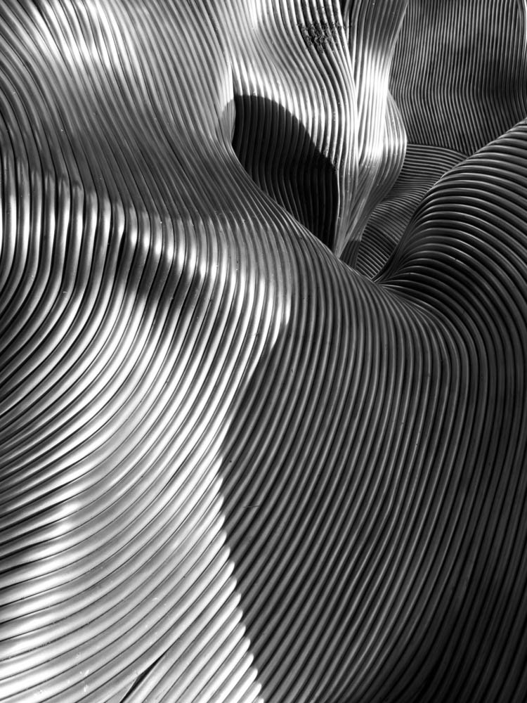 JOSE LUIS NORIEGA 4.jpg