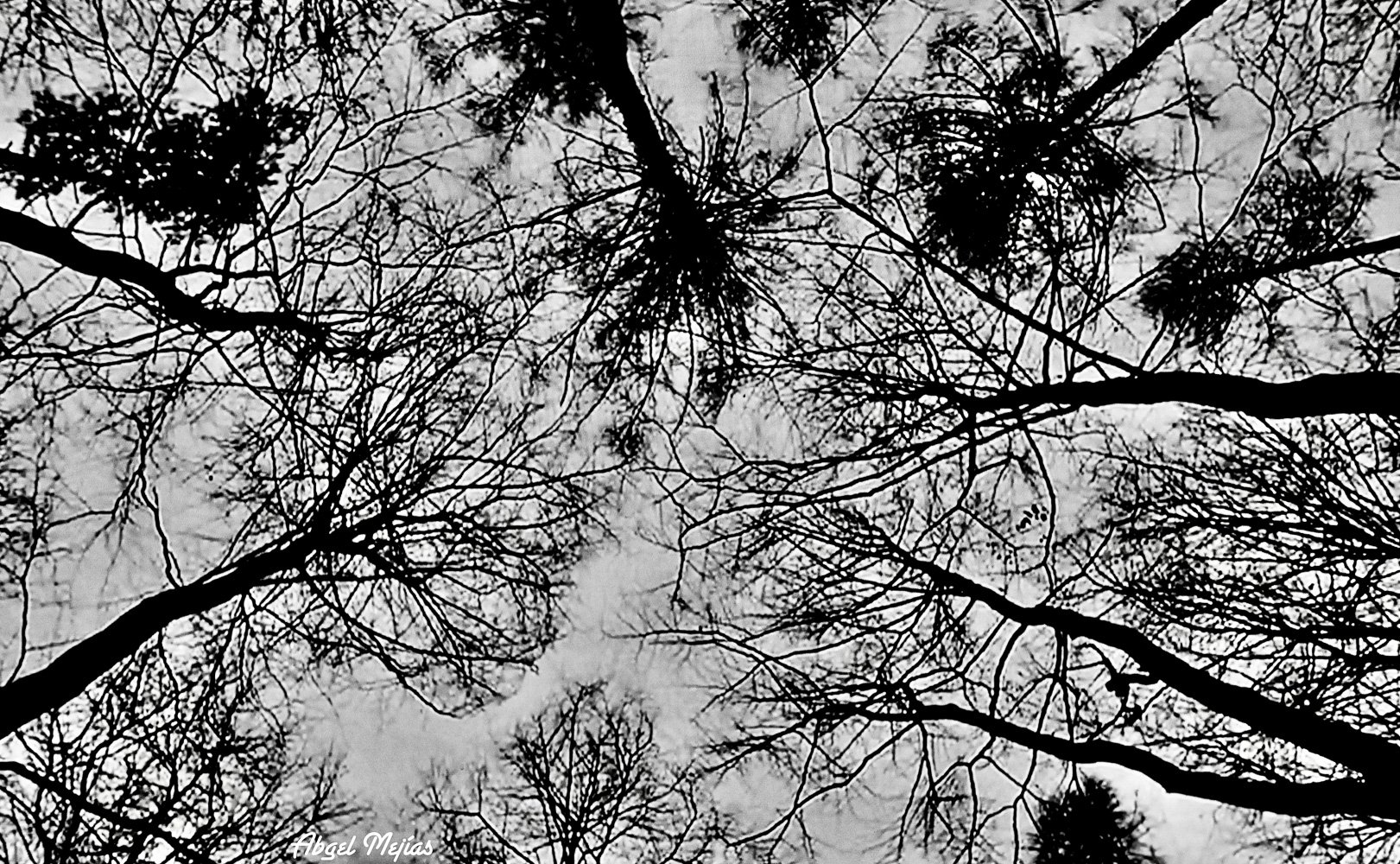 angel2-Paisajes, esculturas y mas4 copia.jpg