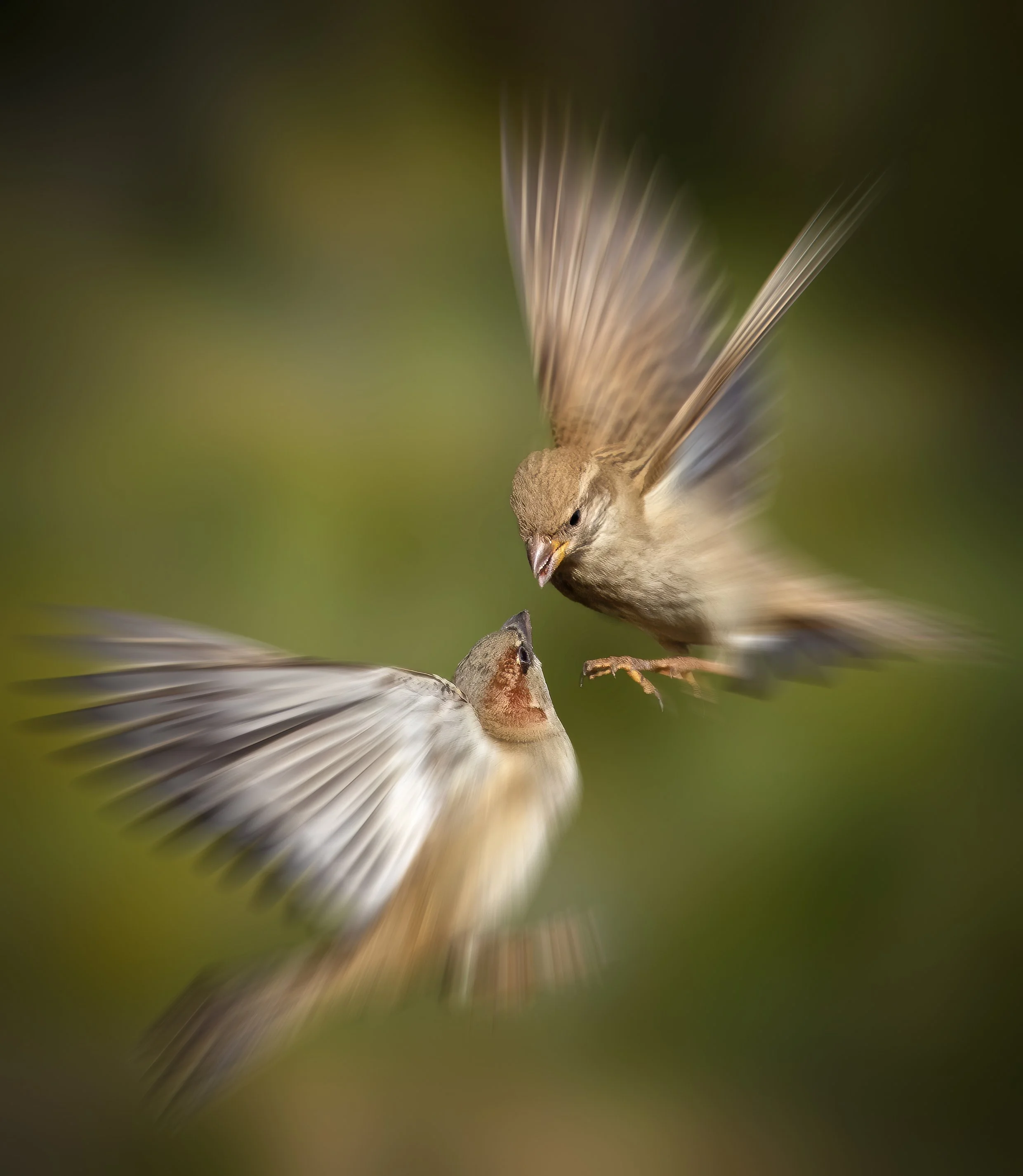 02 Emilio Aramburu 1