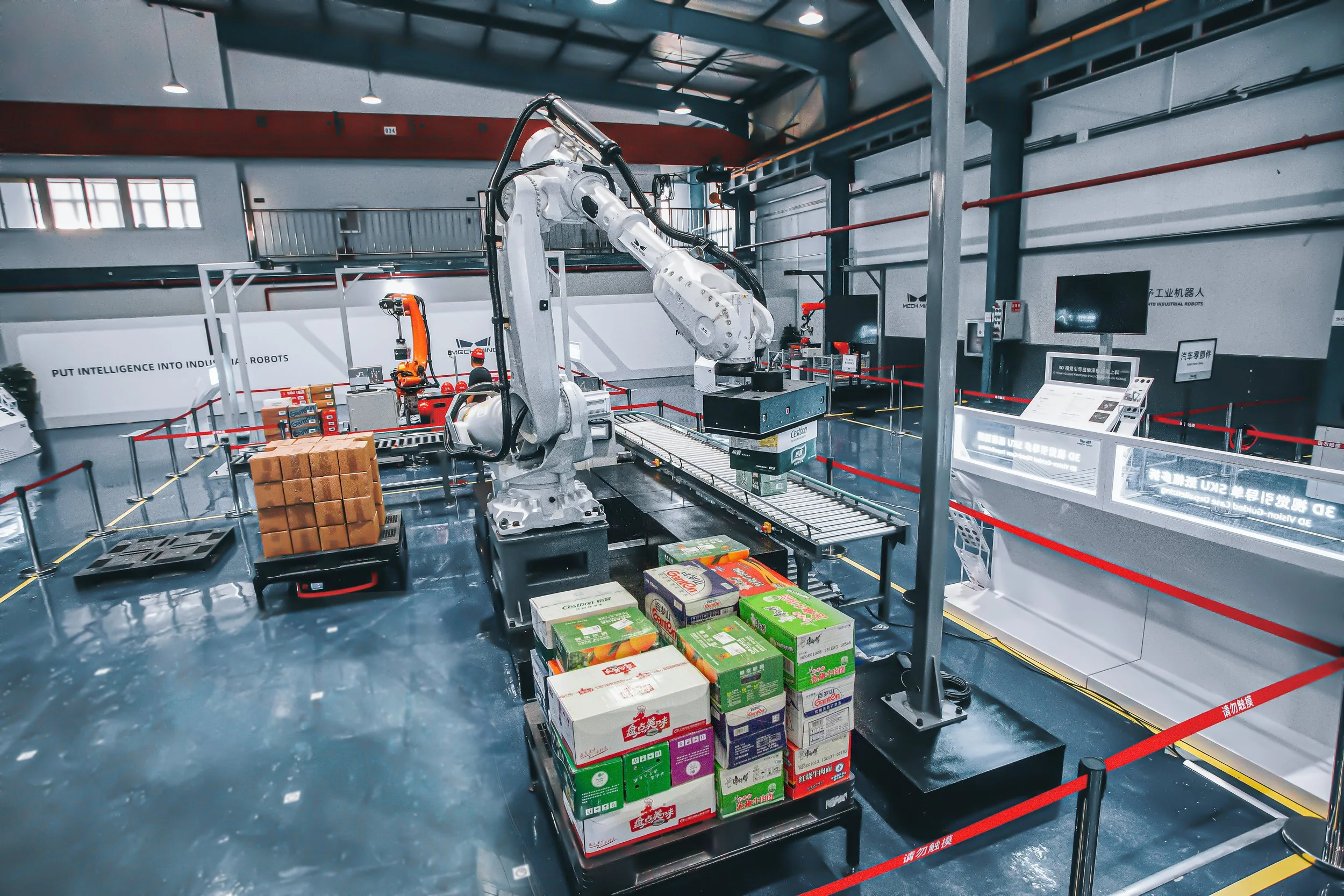 Investing in Robots: How Are They Financed and What Are the Returns?