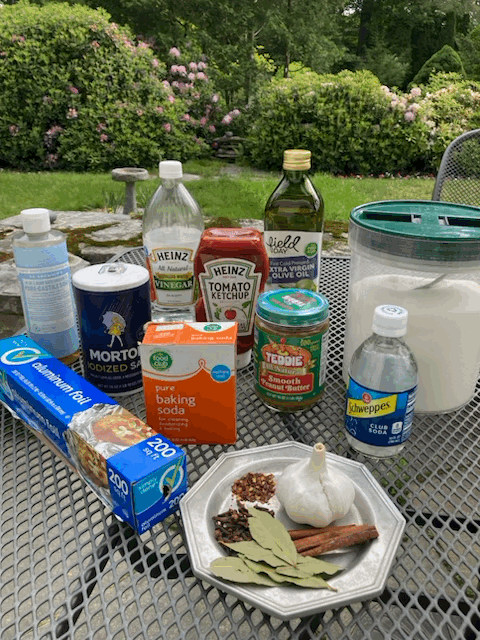 Who Knew That in 2019, the New Hampshire Department of Environmental Services Put Out a Fact Sheet of Alternative Household Products?