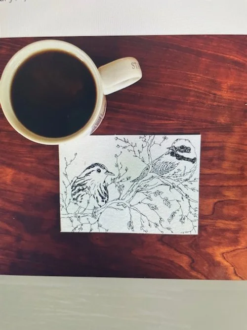 WHO KNEW the Coffee You Choose Can Help Save Birds?