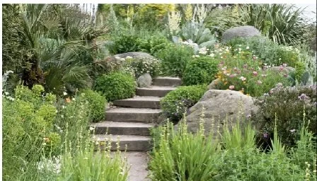 Autumn—Time to Evaluate your Sustainable landscape & Plan for 2026