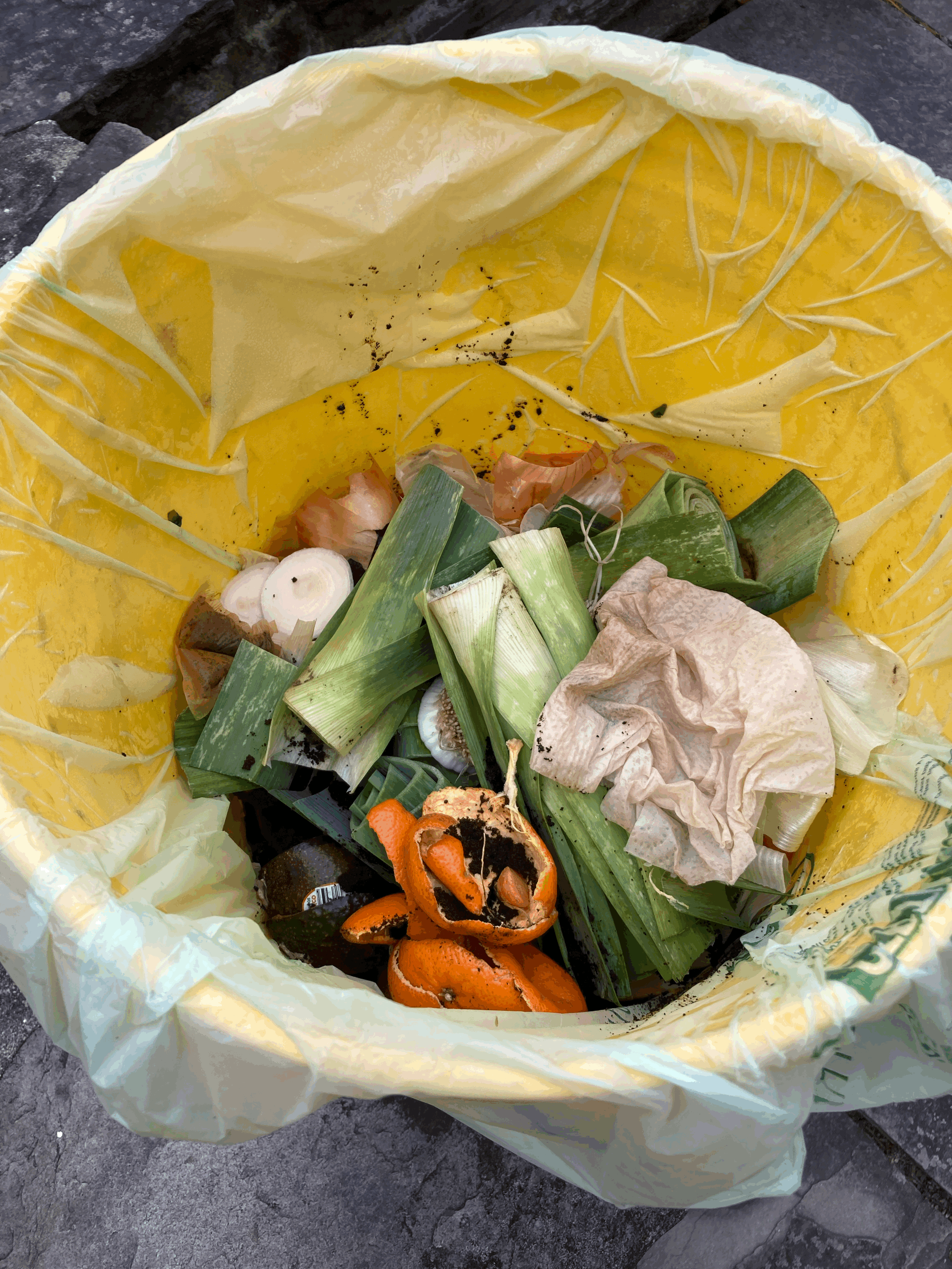 WHO KNEW Thanksgiving Week Would Be the Perfect Time to Start Composting with a Local Food Waste Recycling Program?