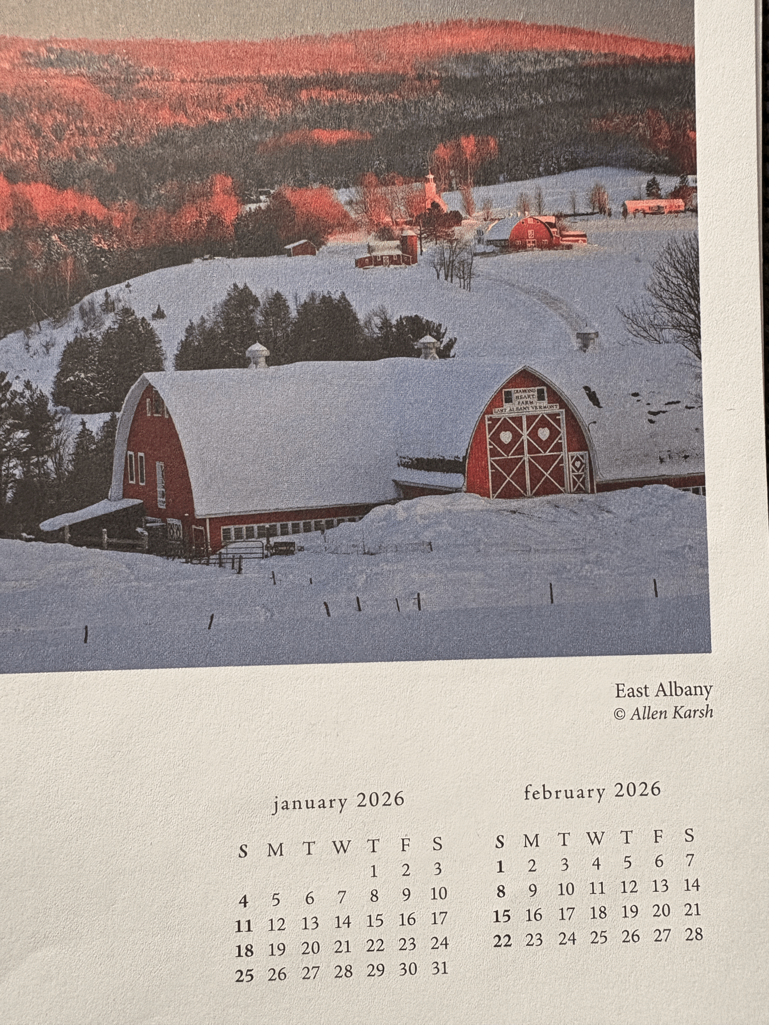 WHO KNEW What to Do with Christmas Trees, String Lights, Styrofoam and Styrofoam Peanuts after Christmas?