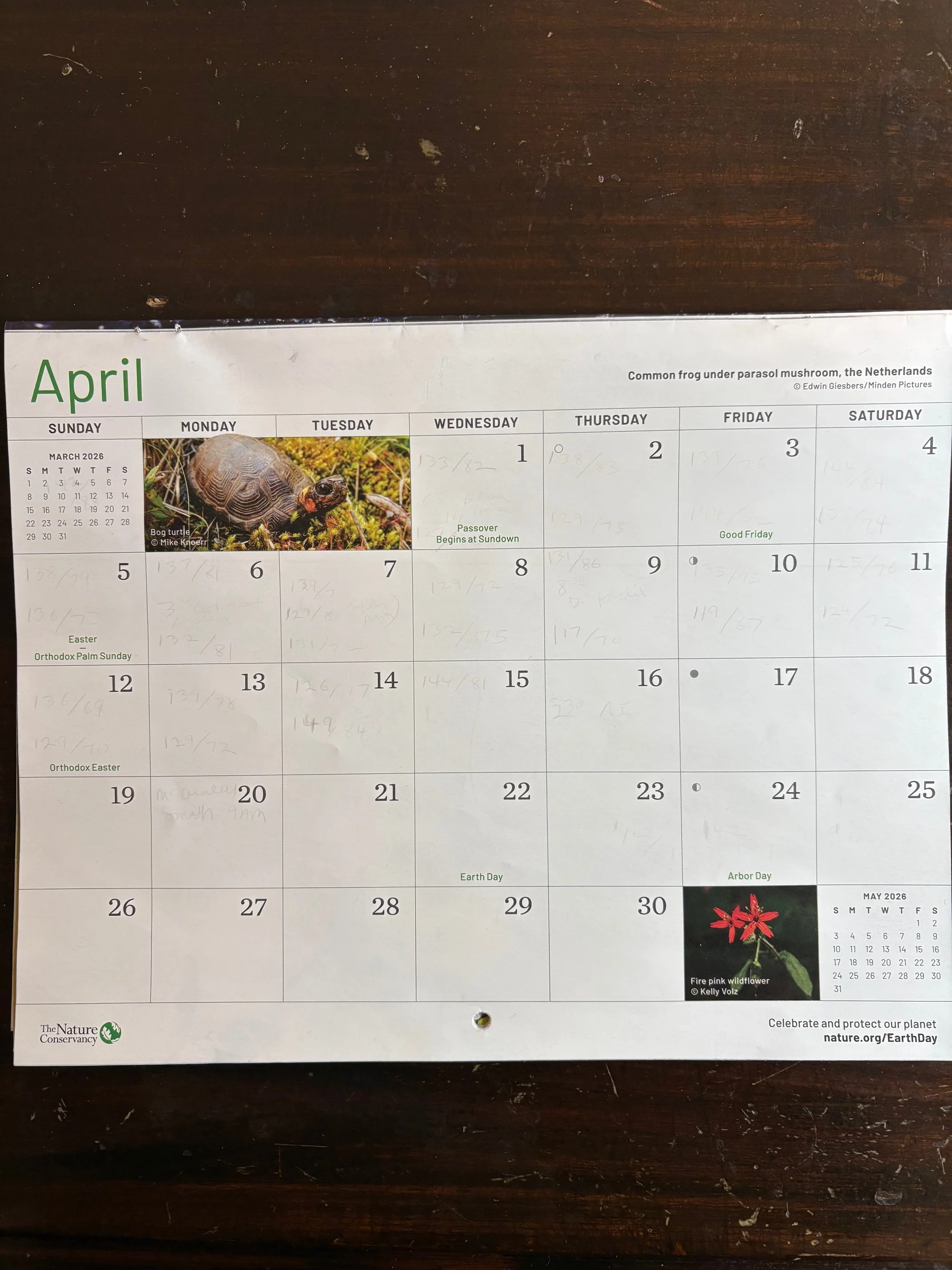 WHO KNEW There Are Two Styrofoam Recycling Events, An Information Session on Heat Pumps and a film, “The Extraordinary Caterpillar,” to Add to Your Calendar?