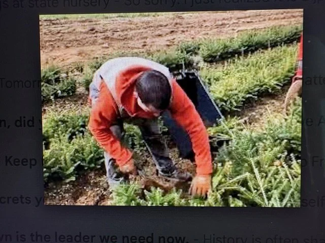 WHO KNEW that  the NH State Forest Nursery Sells Native Trees and Shrubs?  