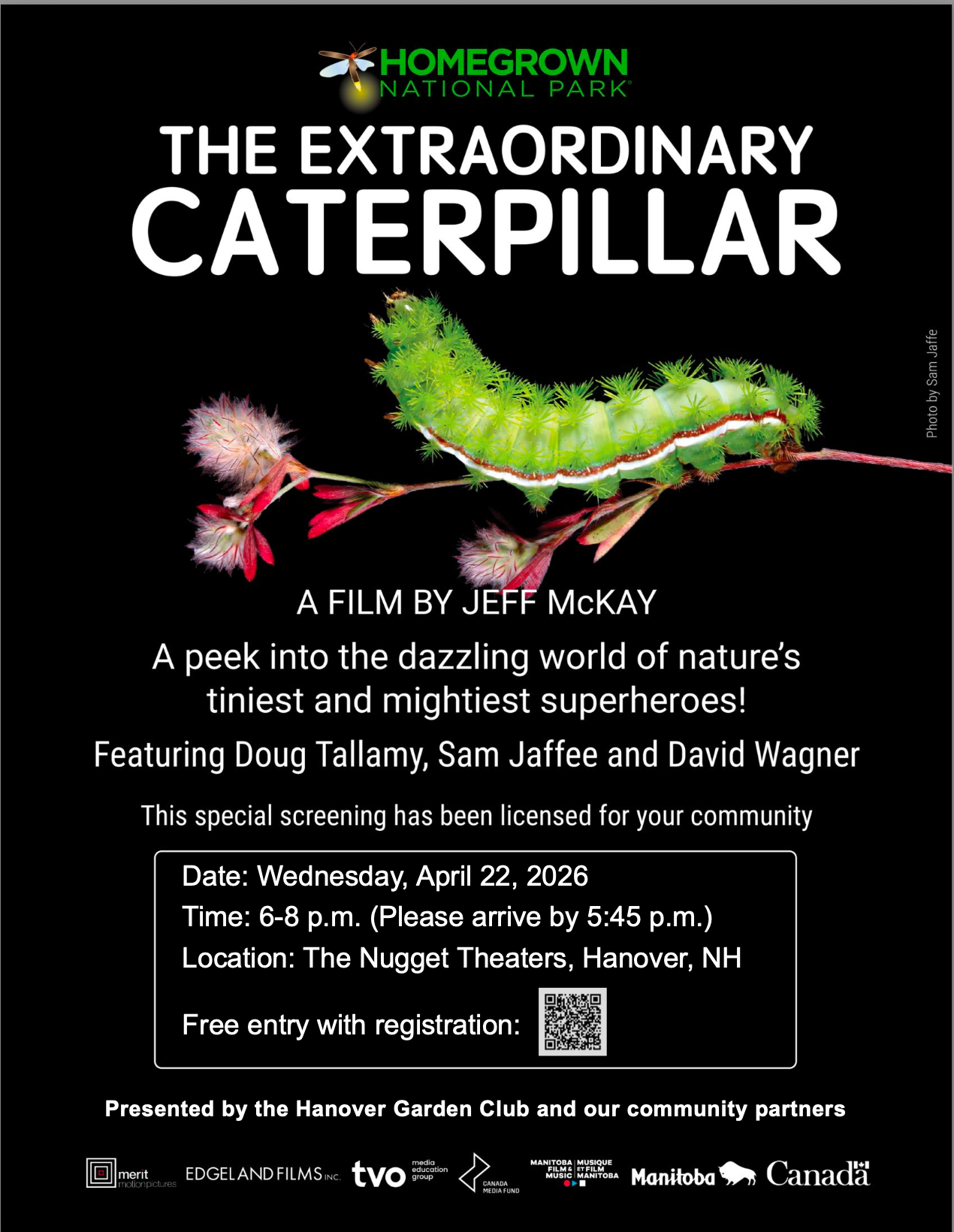 WHO KNEW Caterpillars Were So Extraordinary?