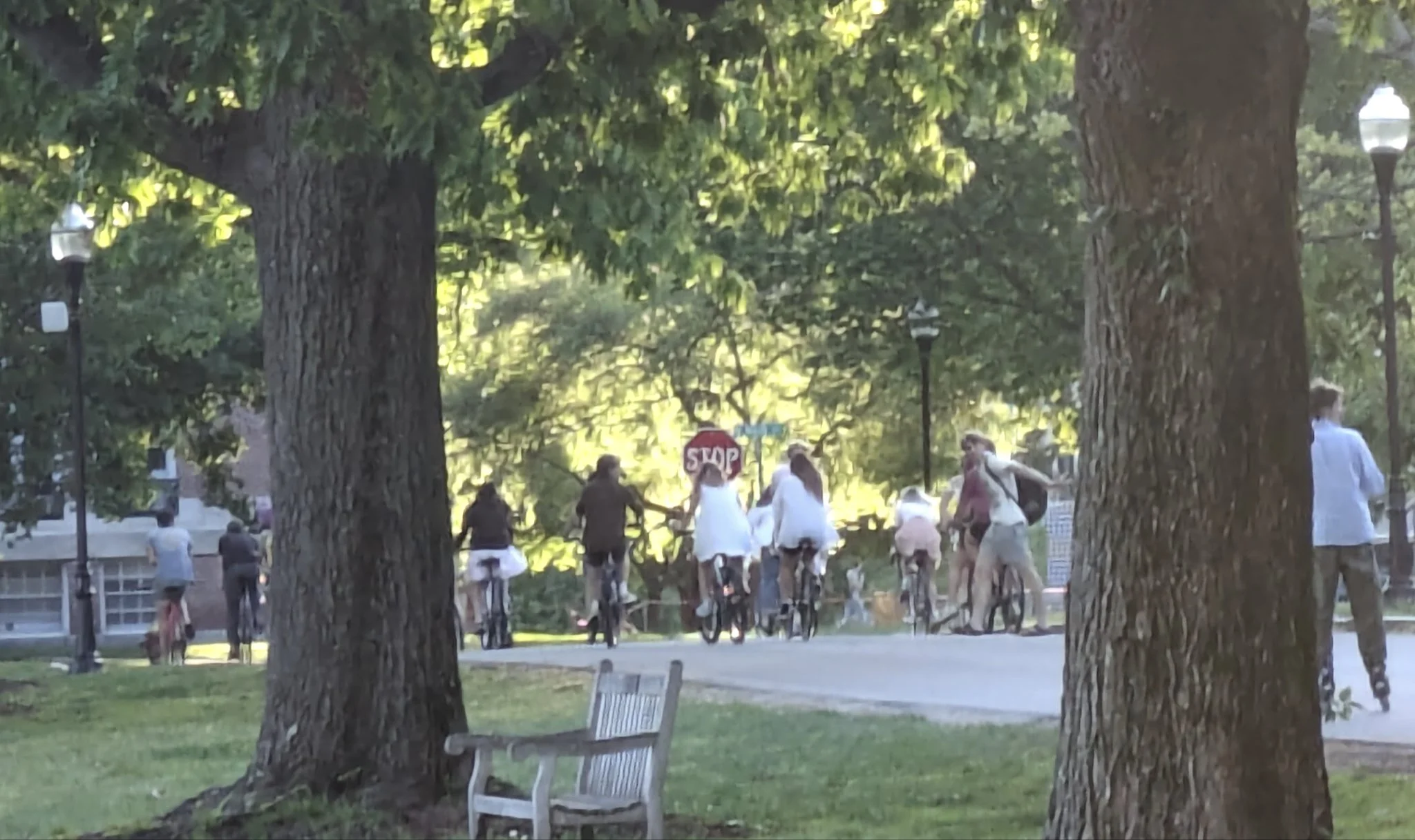 The Future of Sustainable Transportation in Hanover