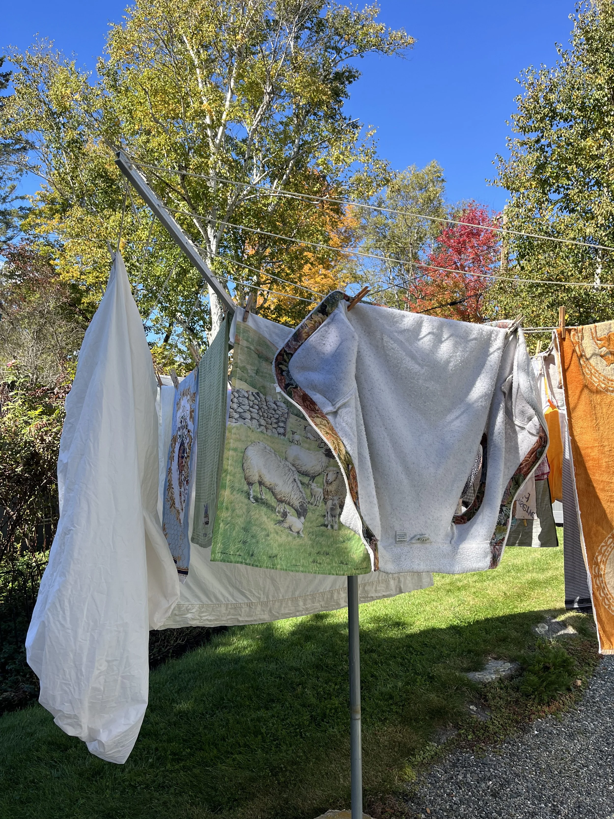 WHO KNEW that Hanging the Wash Can Sometimes Be a Choice?
