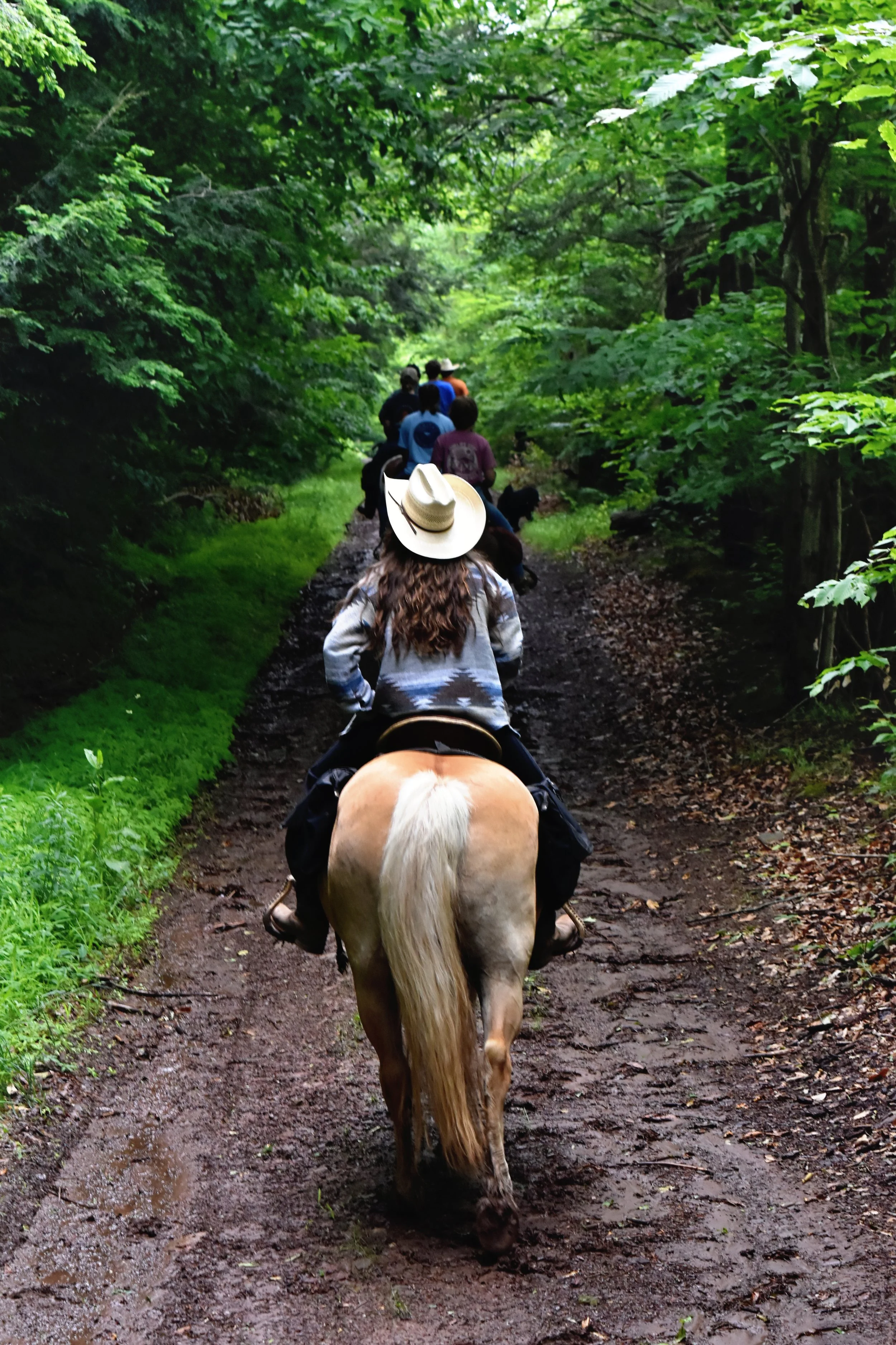 trail rides