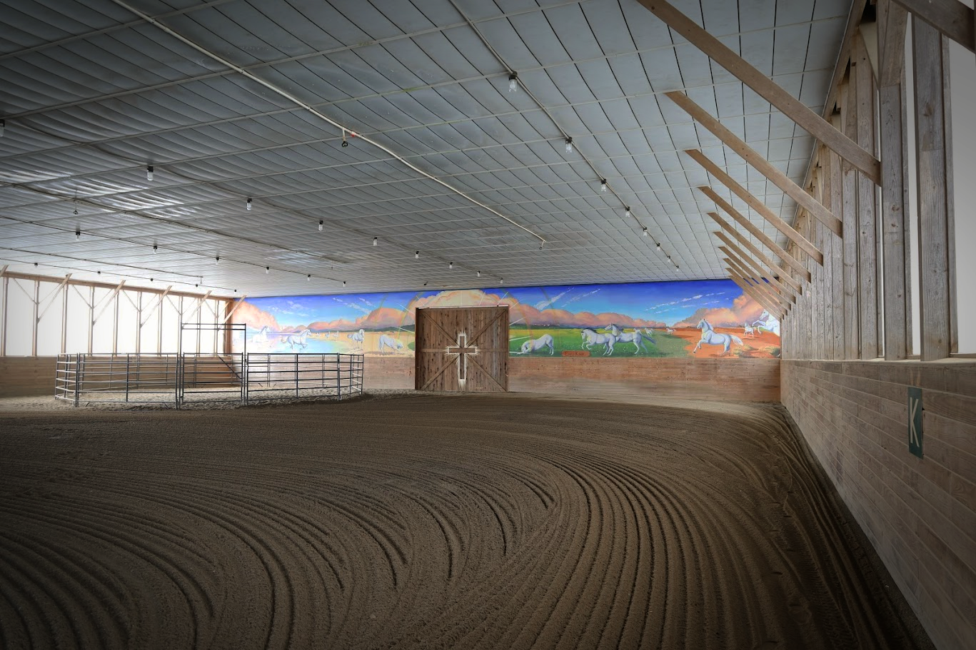 arena (5).png