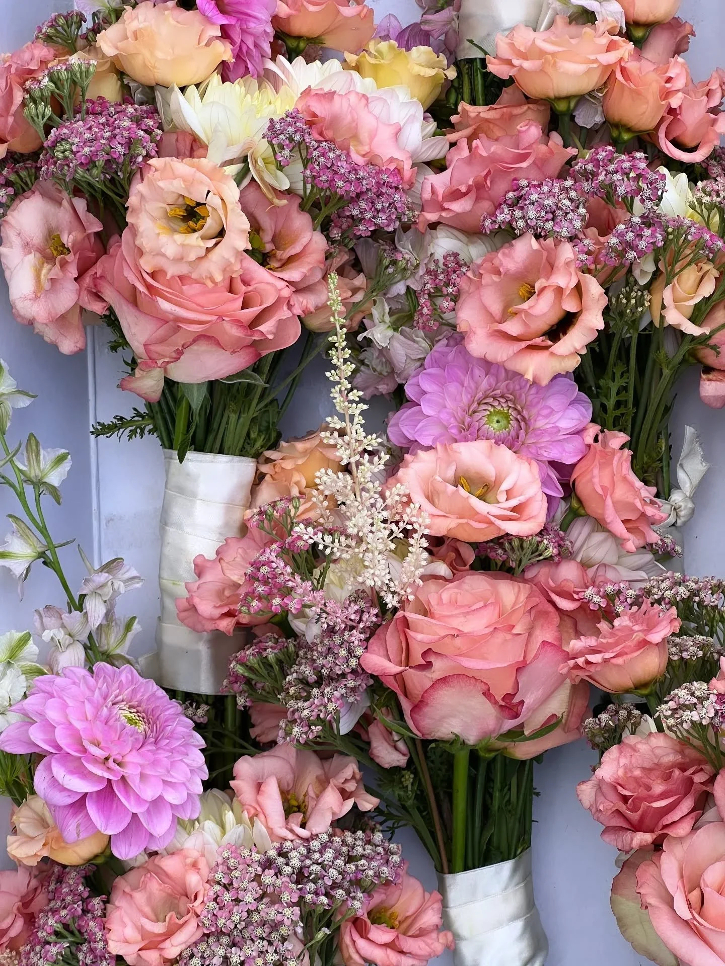 Bridesmaid blooms waiting for their moment to shine 🌸

#LondonFlorist #LondonWeddingFlorist #WeddingFlowersLondon #BridesmaidBouquets #WeddingFlowers #WeddingPlanning #WeddingInspiration #LondonWeddings #BrideToBe2026 #2026Bride #WeddingPlanning2026