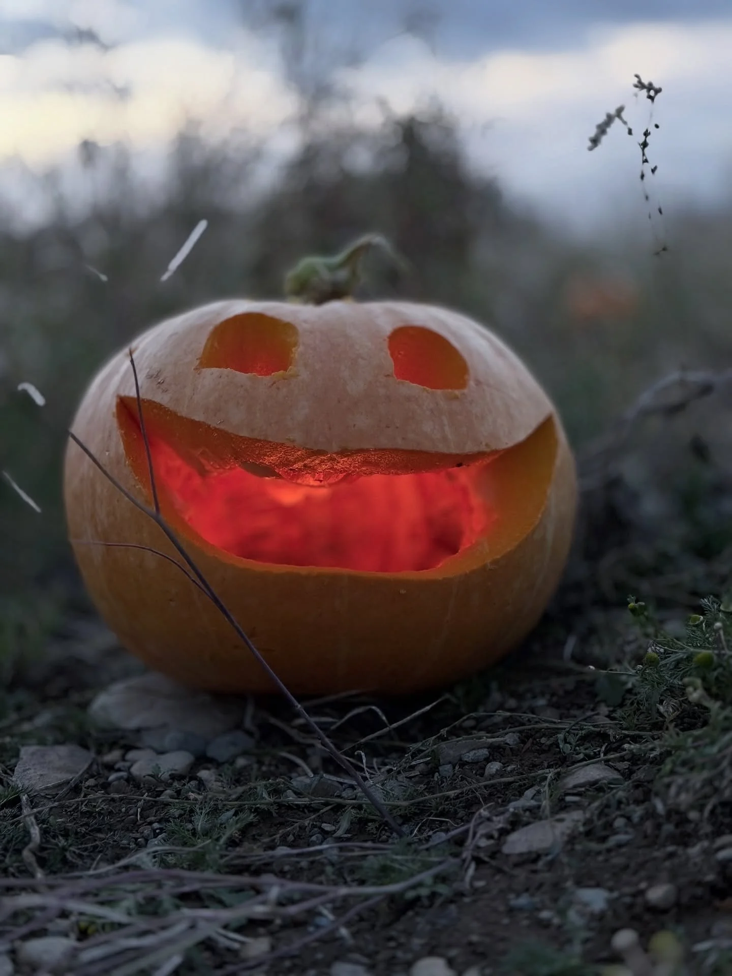 We spent part of the day at @marksmarketfarm in Wooddale carving jack o&rsquo;lanterns. 
While they had lots of pumpkins, we figured at least one of us should do things a bit more traditionally&hellip;
Which jack o&rsquo;lantern do you think is the b