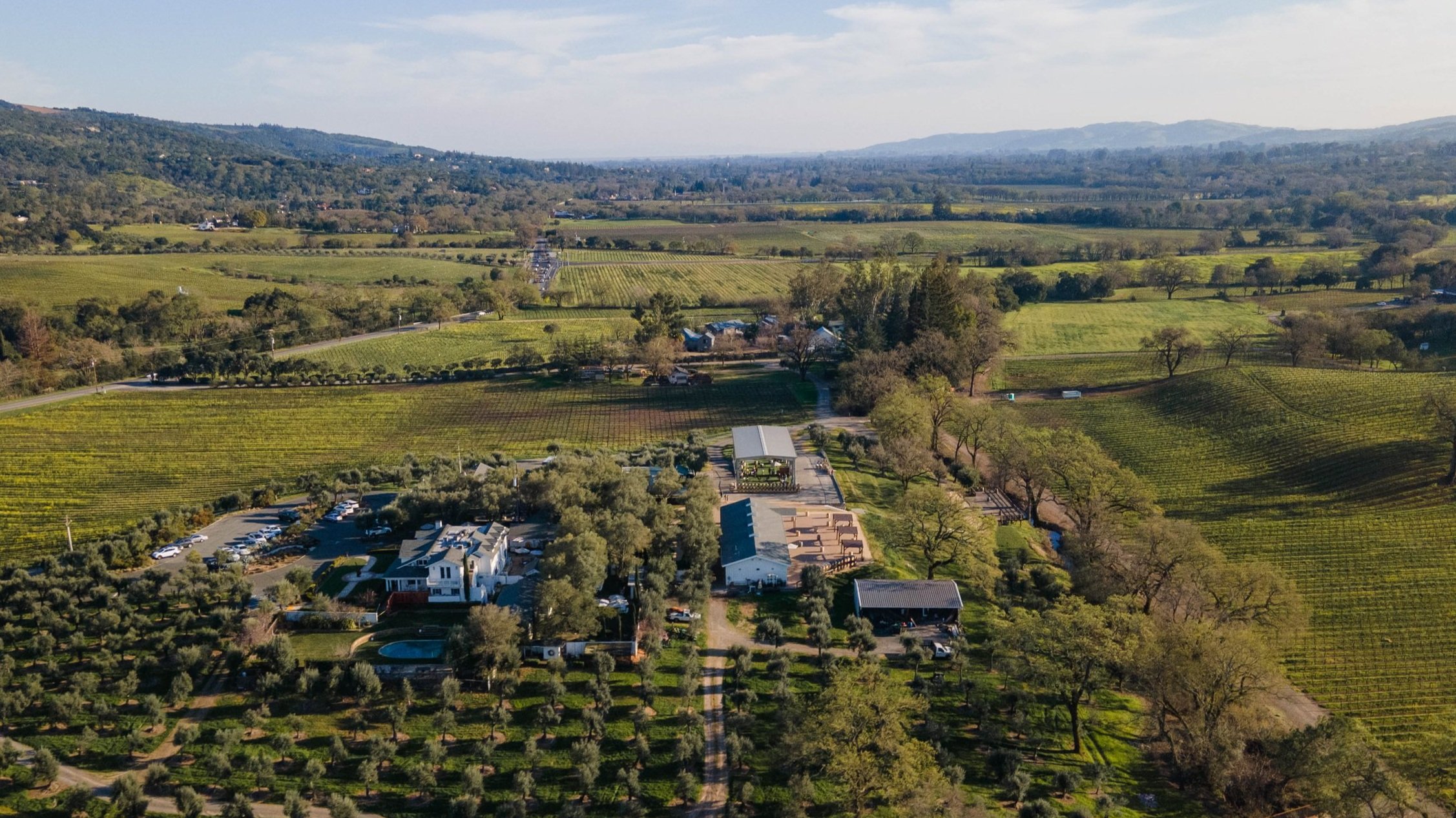 DJI_0956.jpg