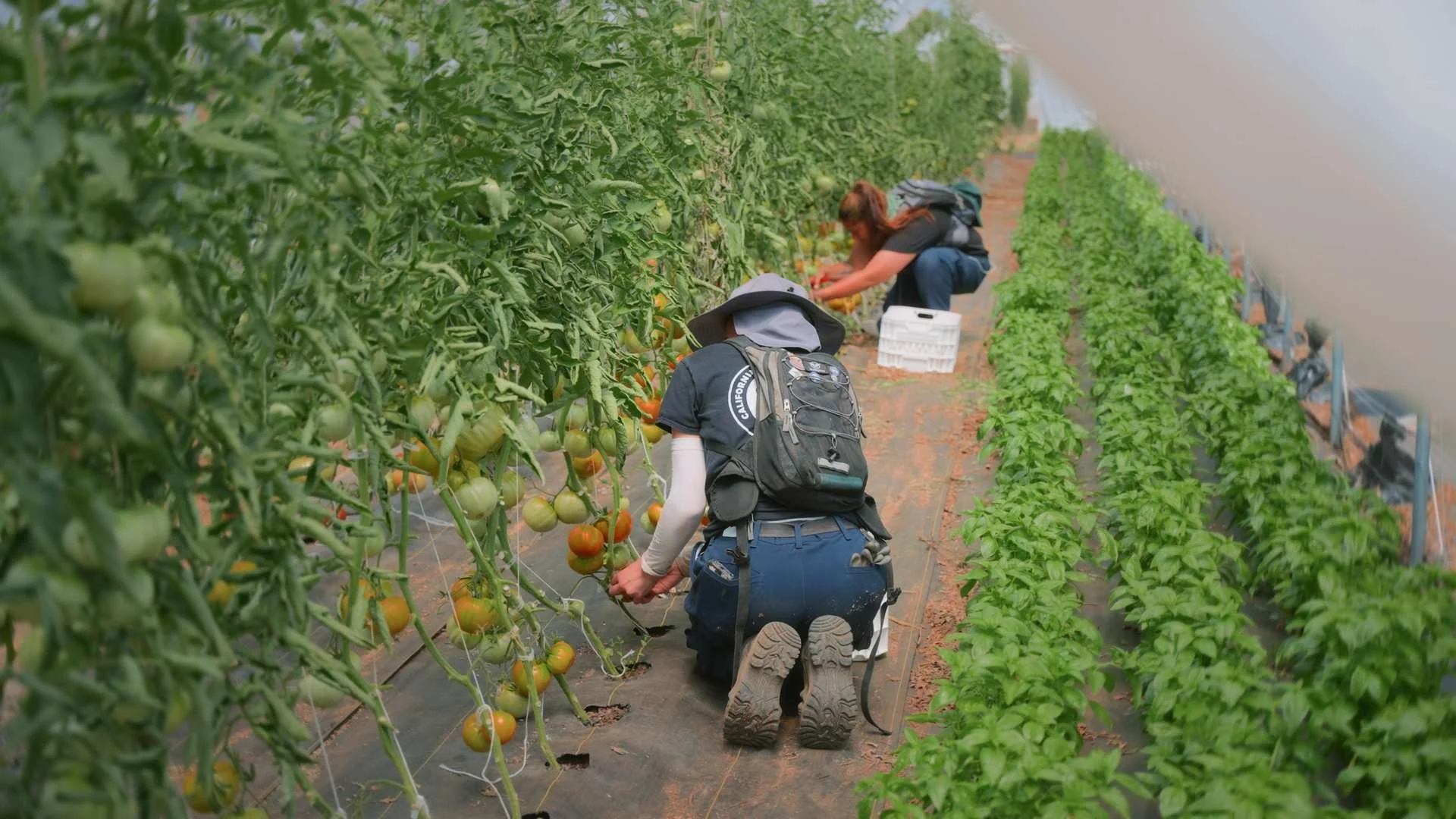 Still 2026-03-05 194411_1.60.1.png