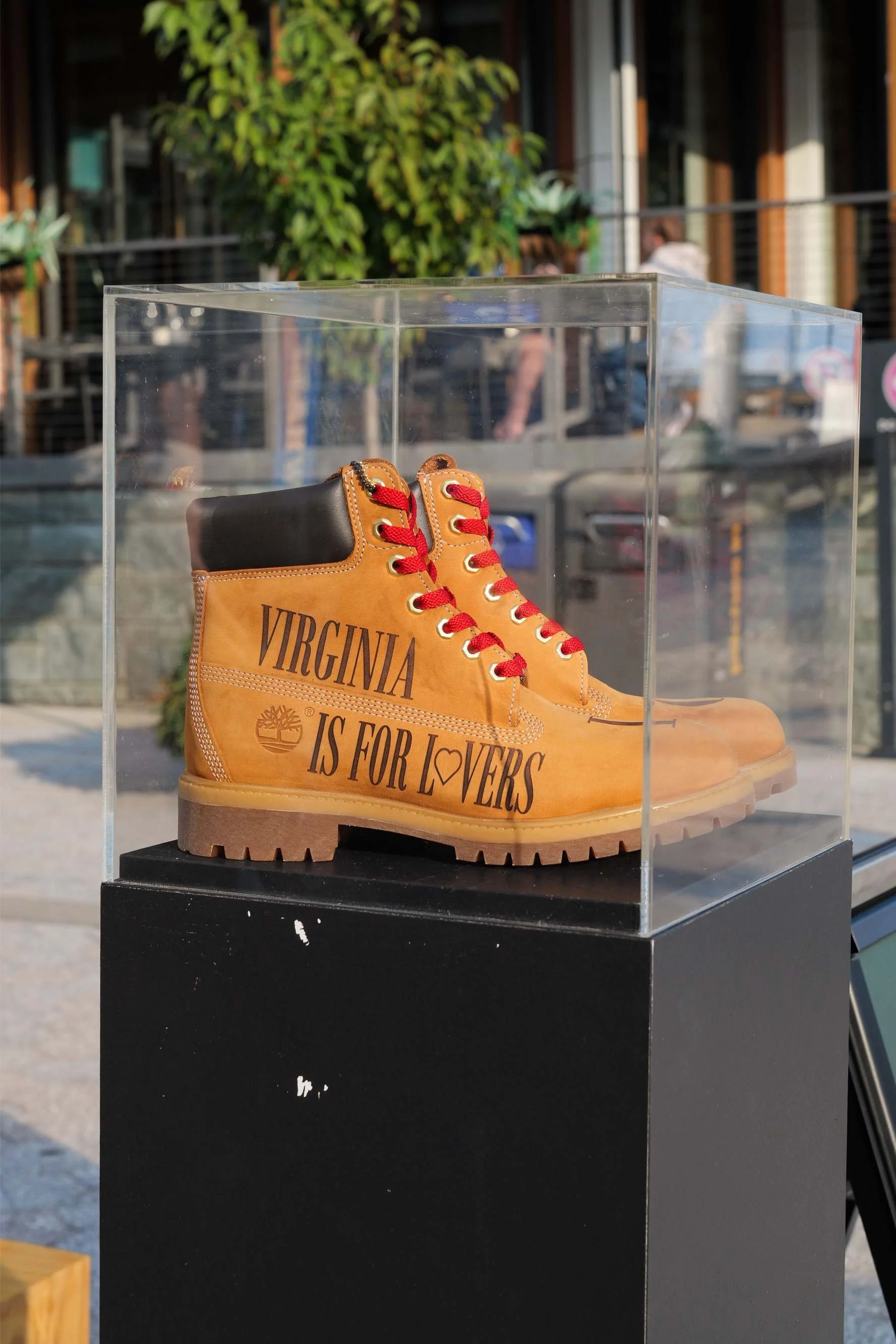 Timberland_DC-81.jpg