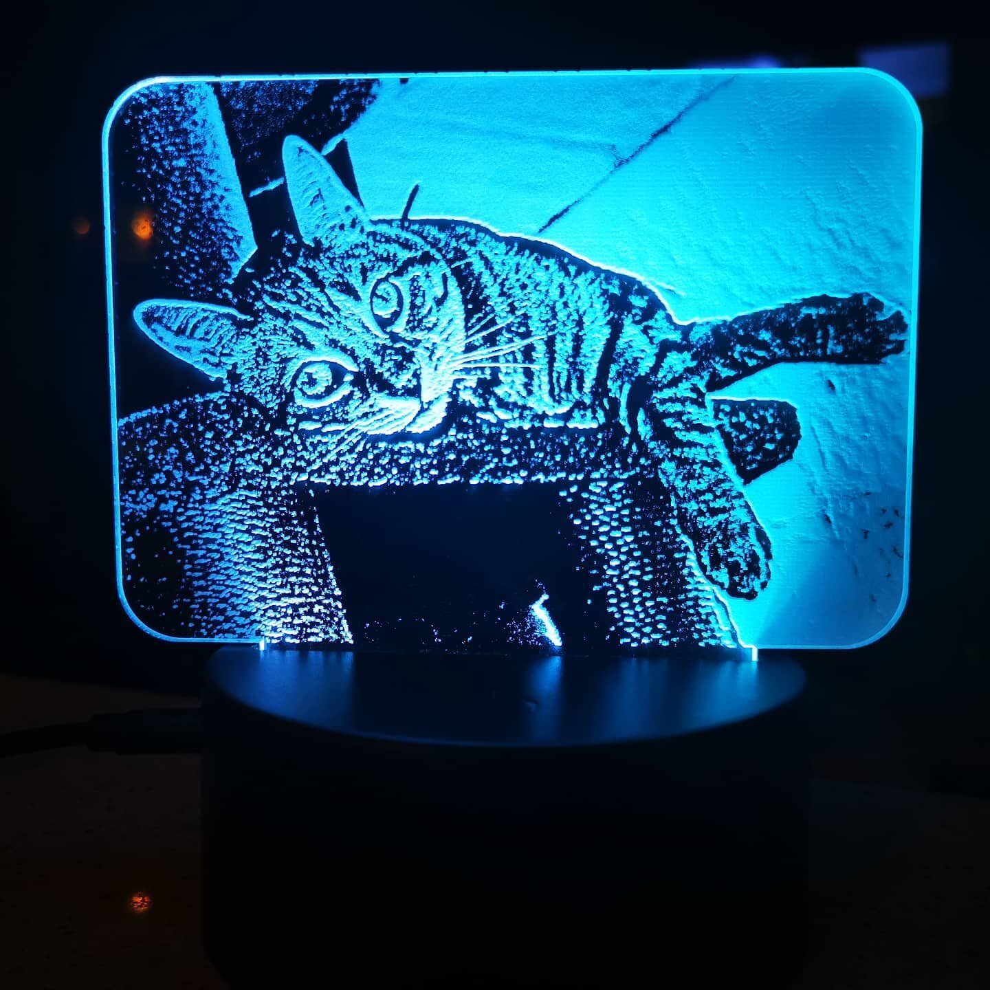 Get your own personalized led night lights. Have your favourite moment, person, or pet come to life. Comes with touch base, remote and usb cord. Can be set to multiple different fixed colours or set to change in different ways. The cat pictures shown