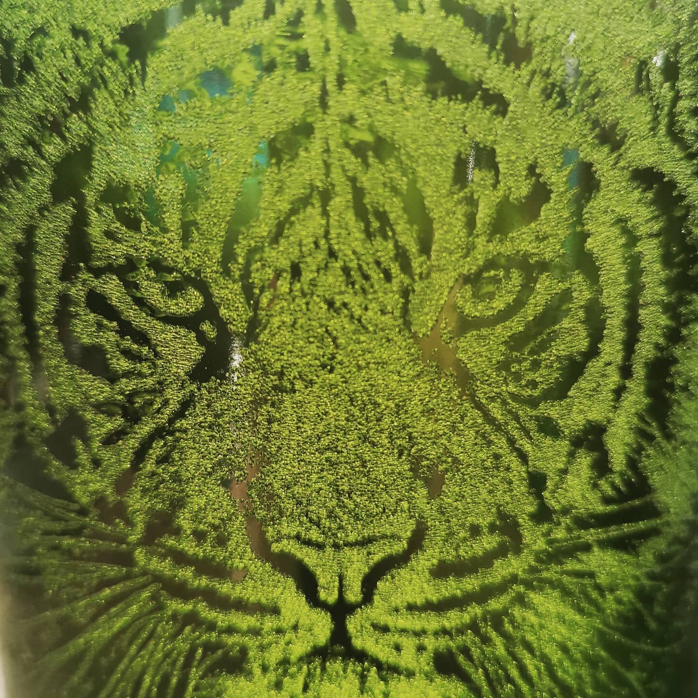 New use for all these wine bottles

#lasercutting #laserengraving
#laseretch
#laserart #winebottlecrafts
#laserco2
#lasermake #glassetching
#co2laser#lightburn
#creative #imager
#maker #image
#makersgonnamake #makersofinstagram #focusedlightcreations