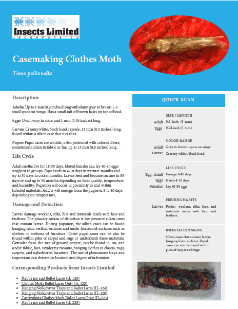 How to Get Rid of Casemaking Clothes Moths