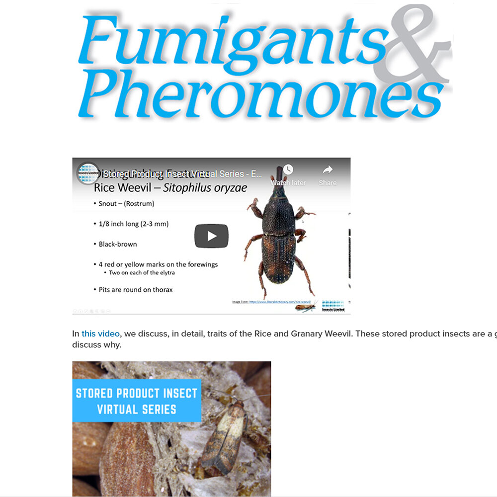 Black Carpet Beetles Pheromones and Lures — Insects Limited