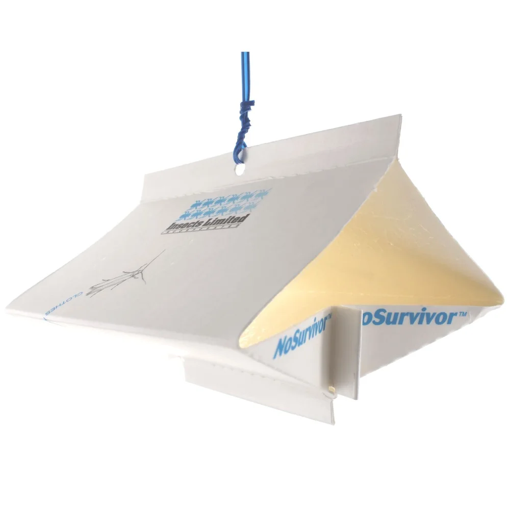 Pheromone lures and traps for Cigarette Beetles