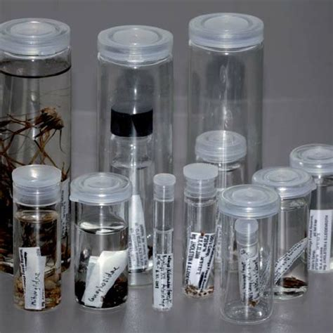 Sightings and Systems: How Sampling Methods Change the Way we Observe and Interpret the Greater Indoor Arthropod Landscape