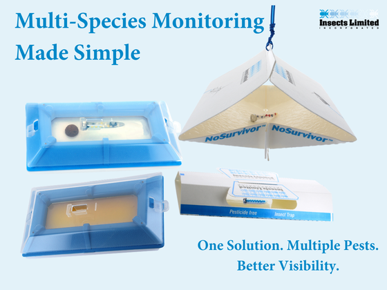 One solution, multiple pests: The power of multi-species management