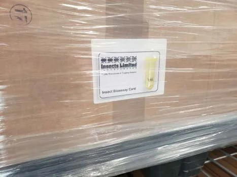 Shrink-wrapped commodity pallet with insect monitoring card attached before fumigation