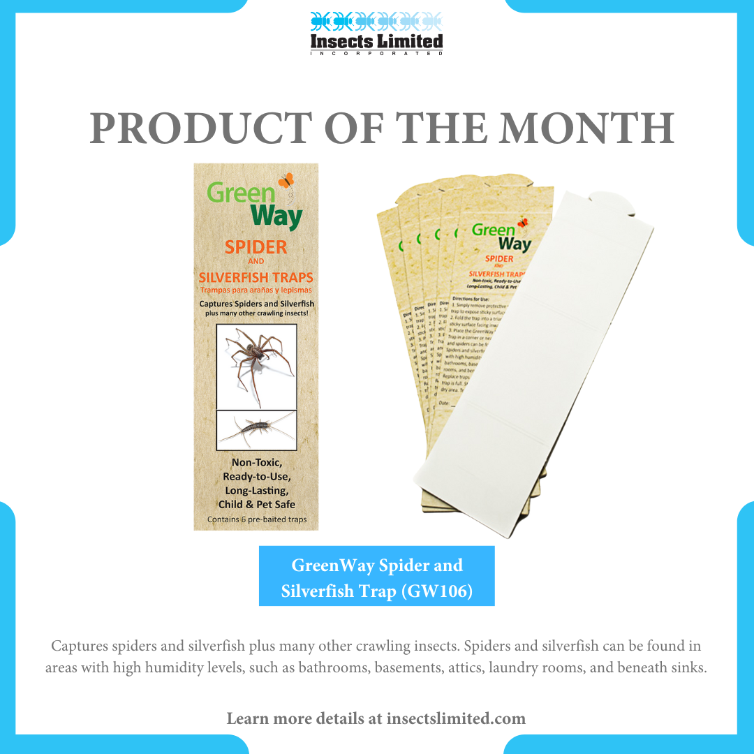 Product of the Month - GreenWay Spider and Silverfish Trap — Insects  Limited — Insects Limited