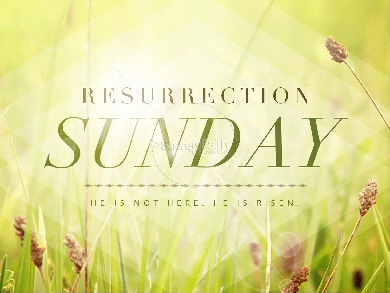 Resurrection: Our Future Hope