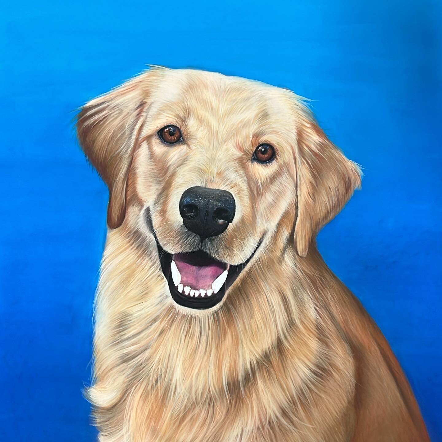 This sweet golden is done 🥹